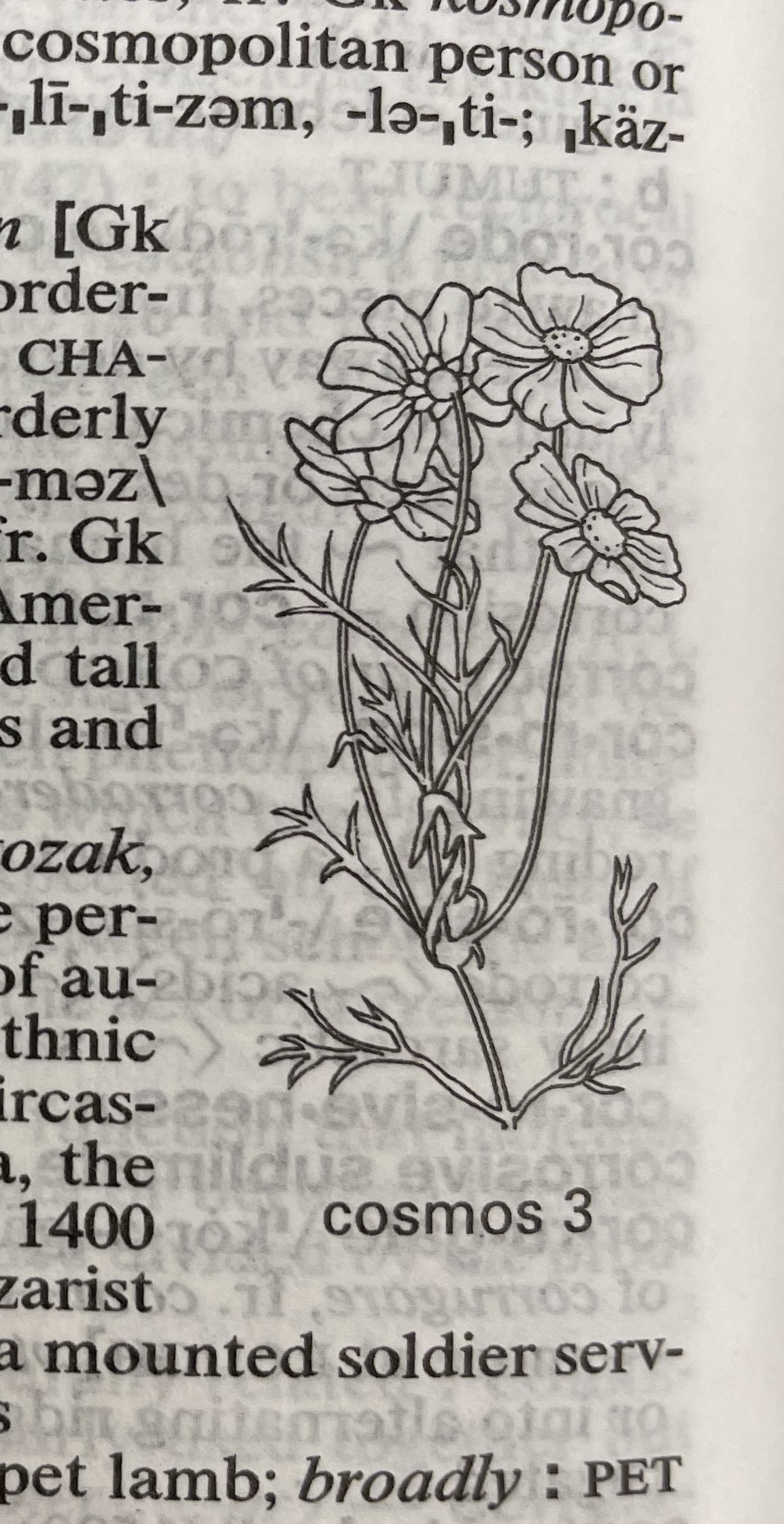 Dictionary illustration