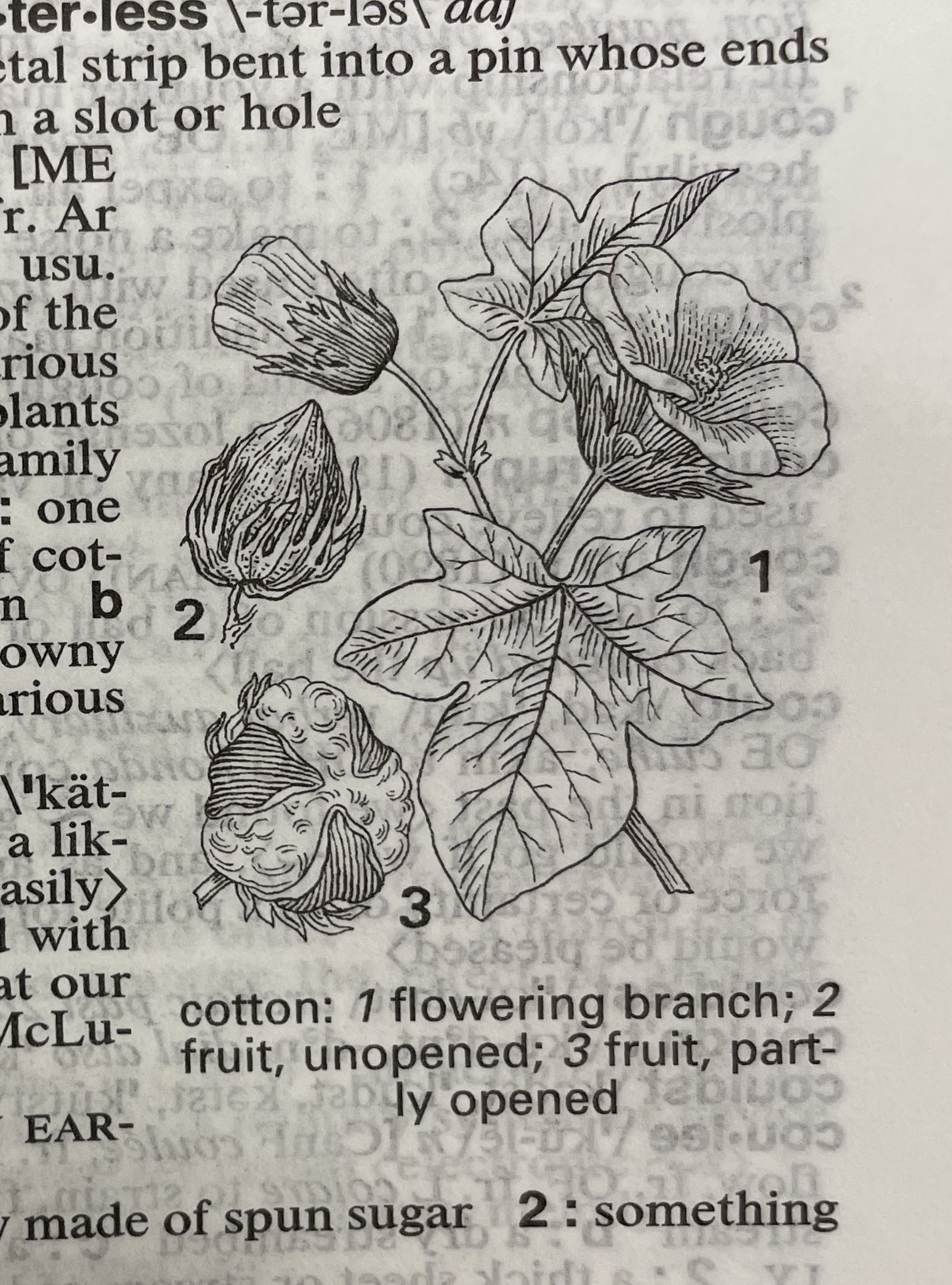 Dictionary illustration