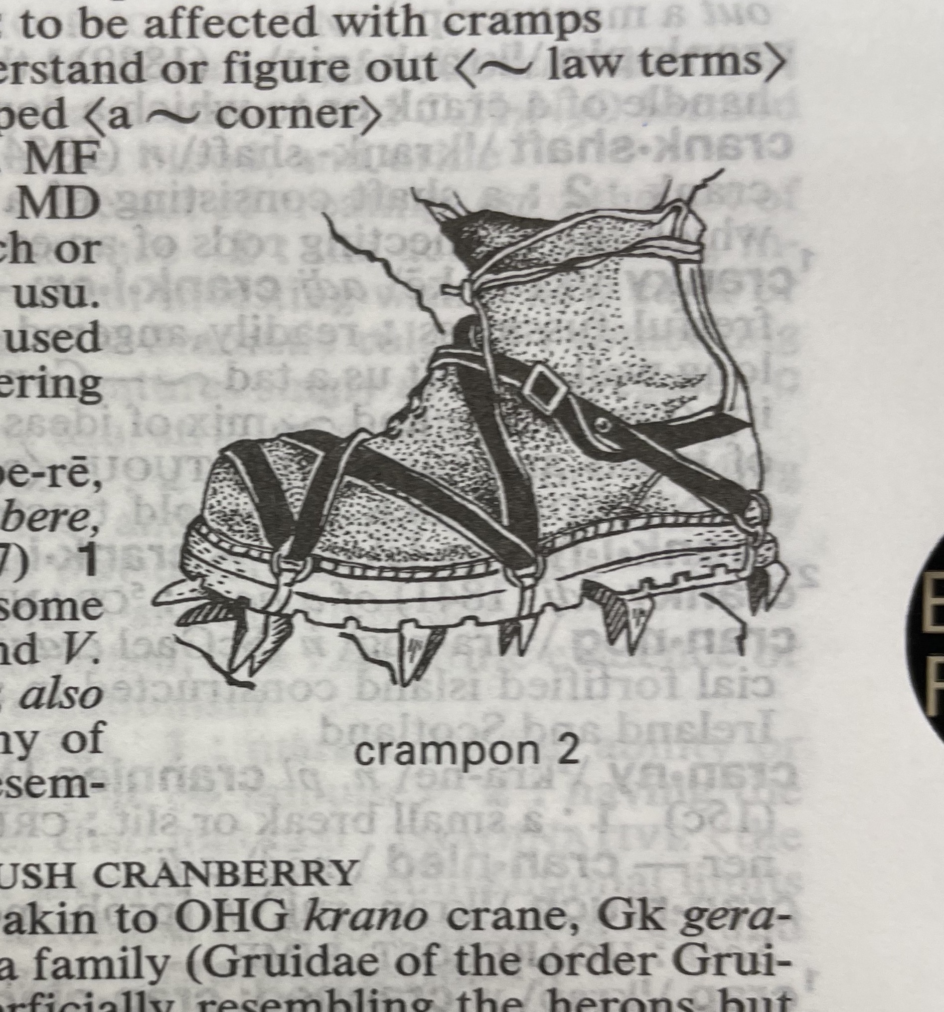Dictionary illustration