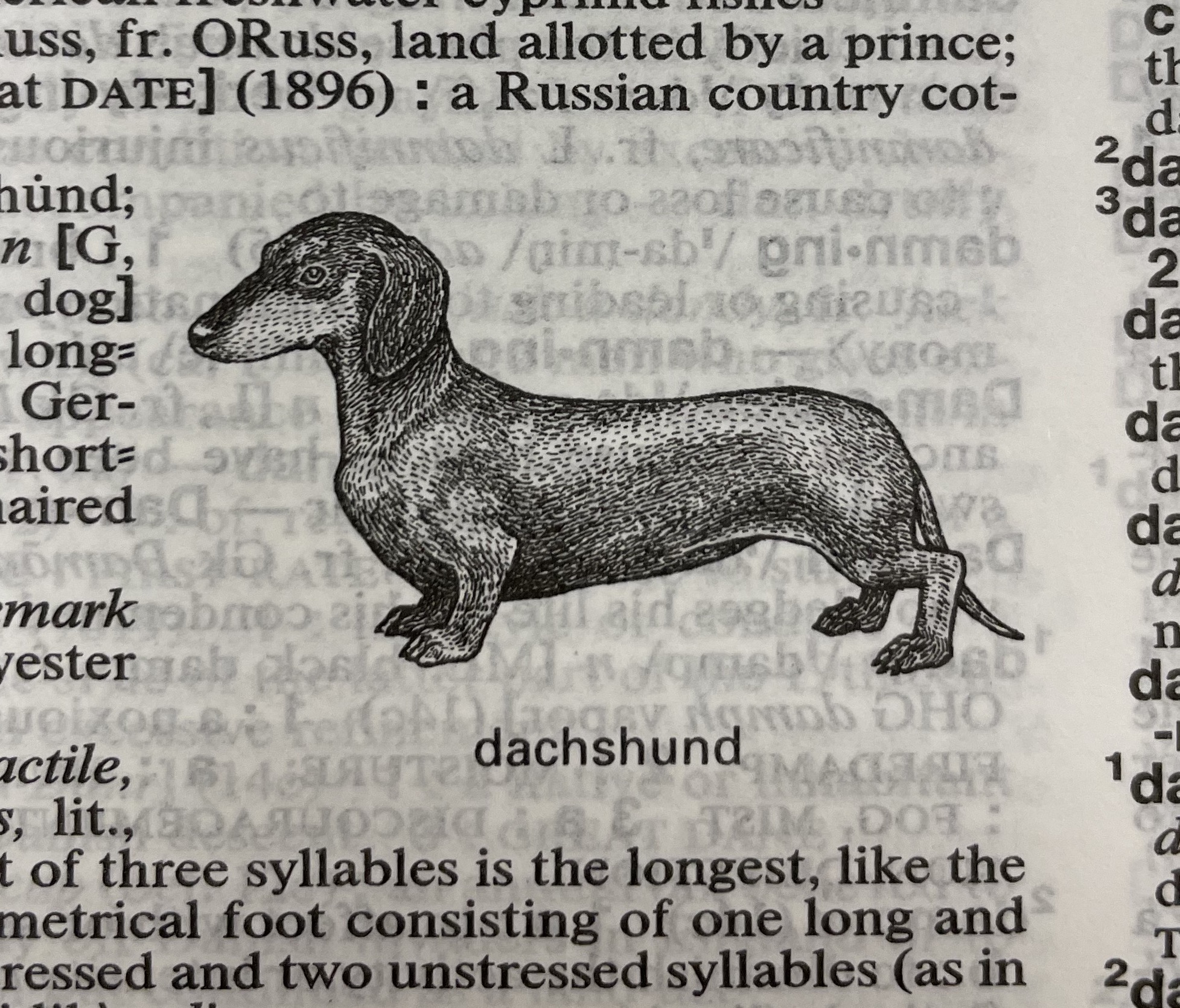 Dictionary illustration