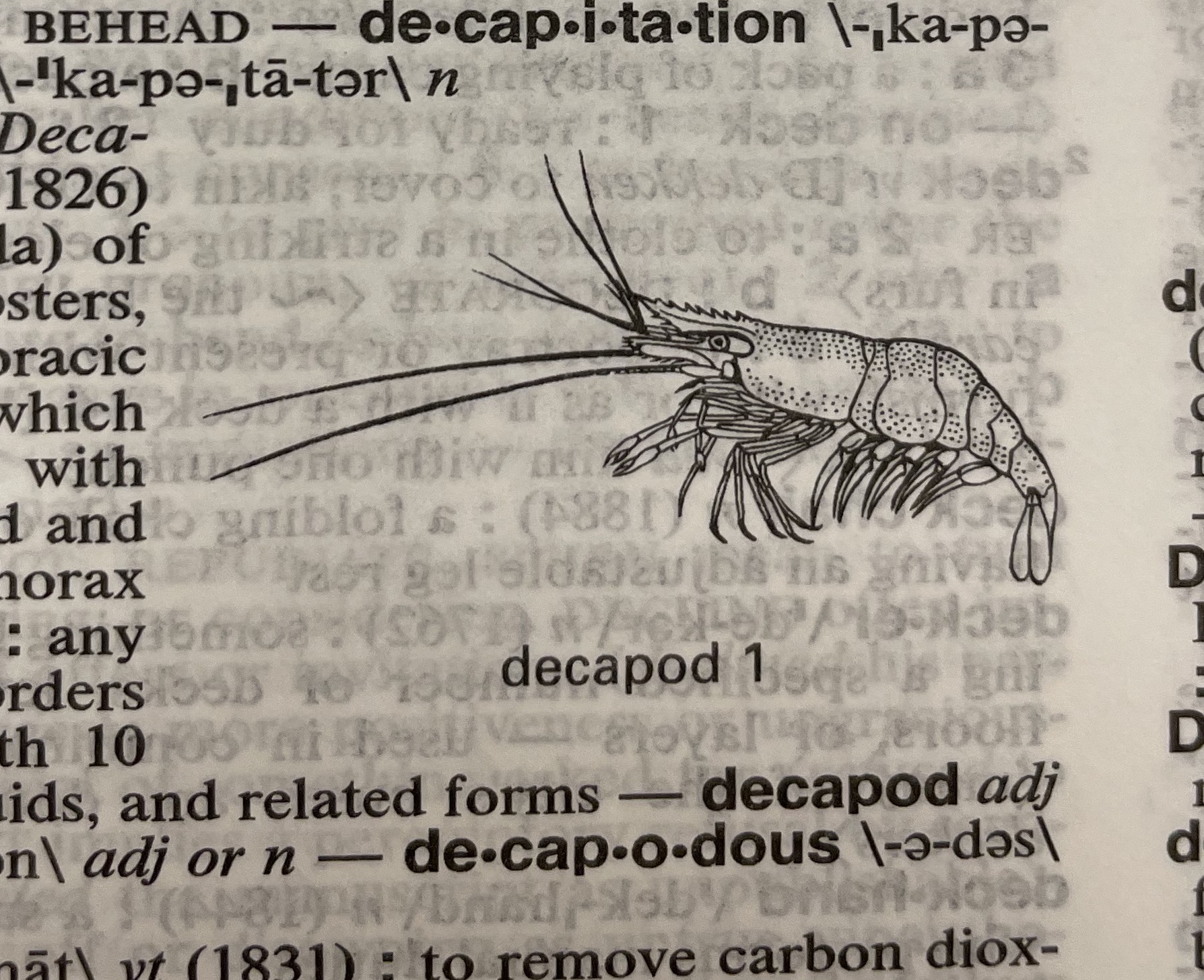 Dictionary illustration