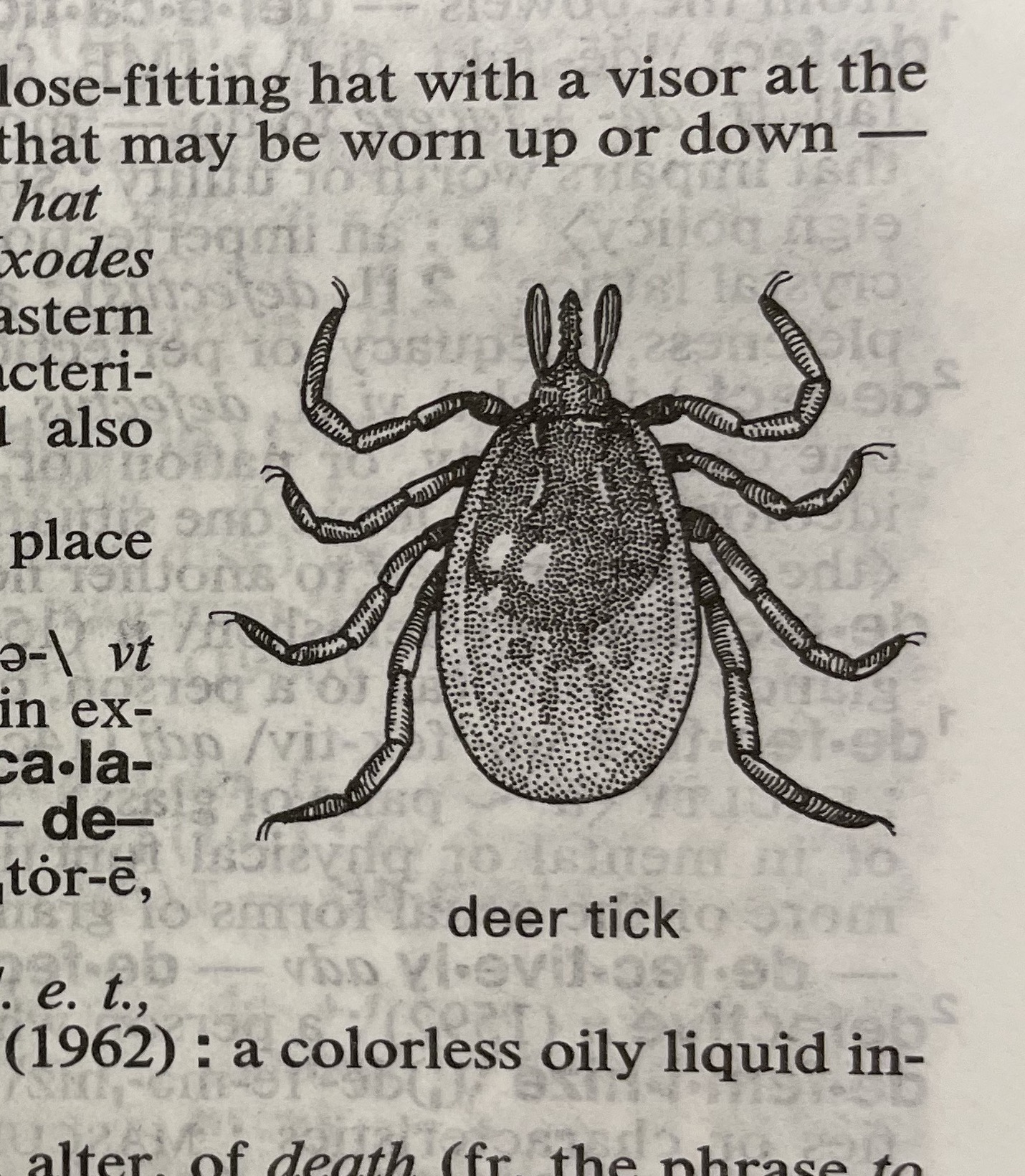 Dictionary illustration