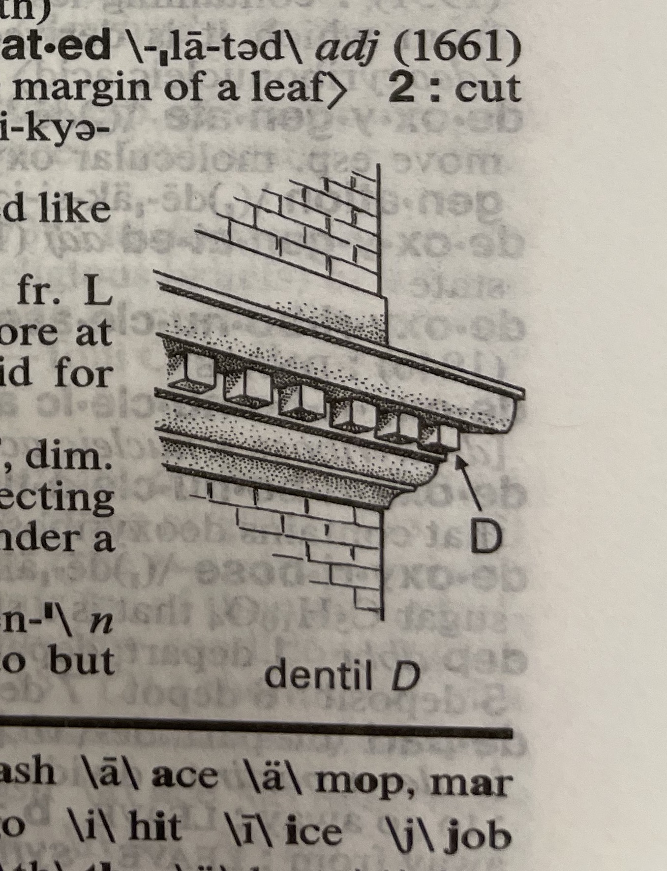Dictionary illustration