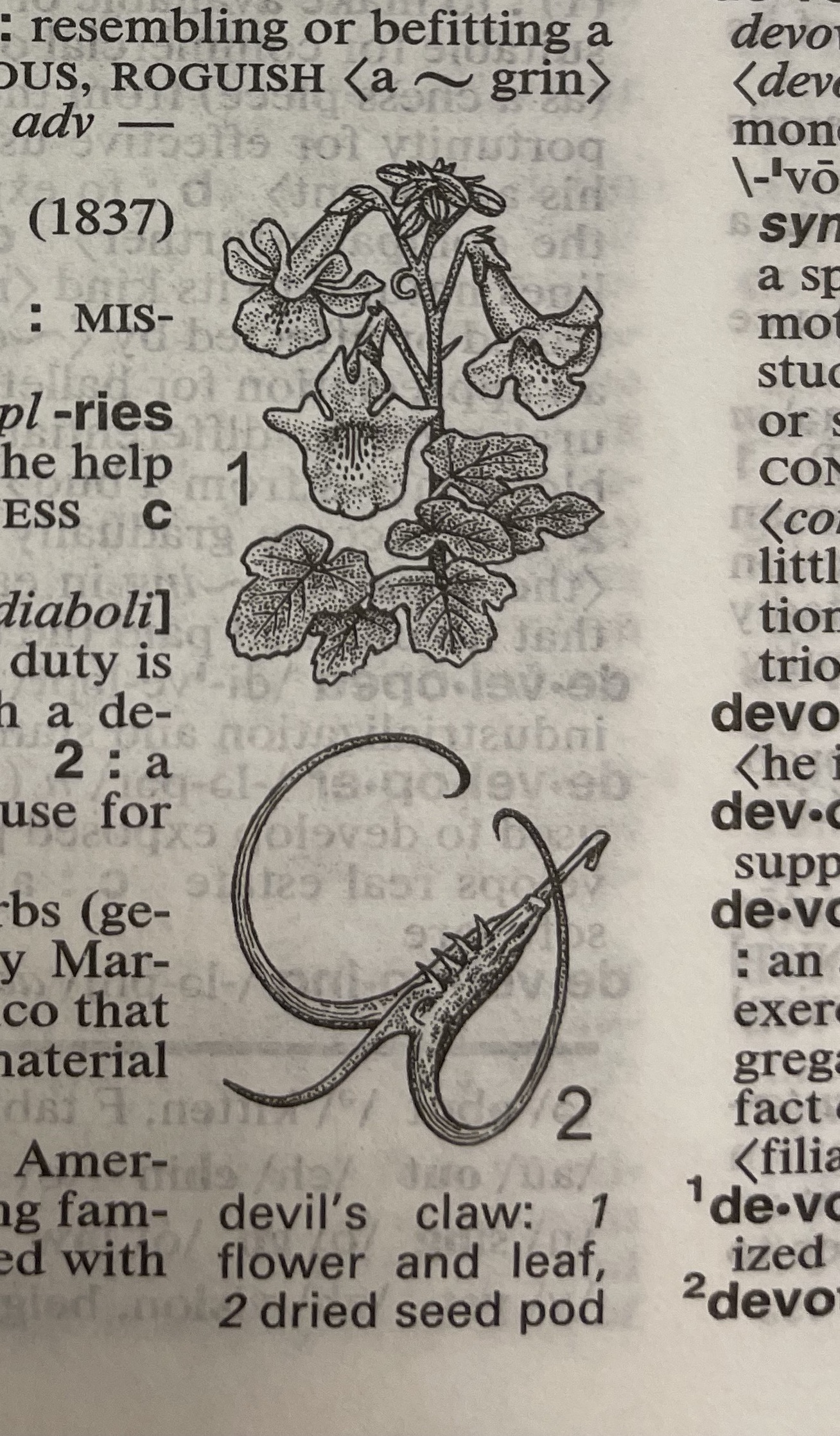 Dictionary illustration