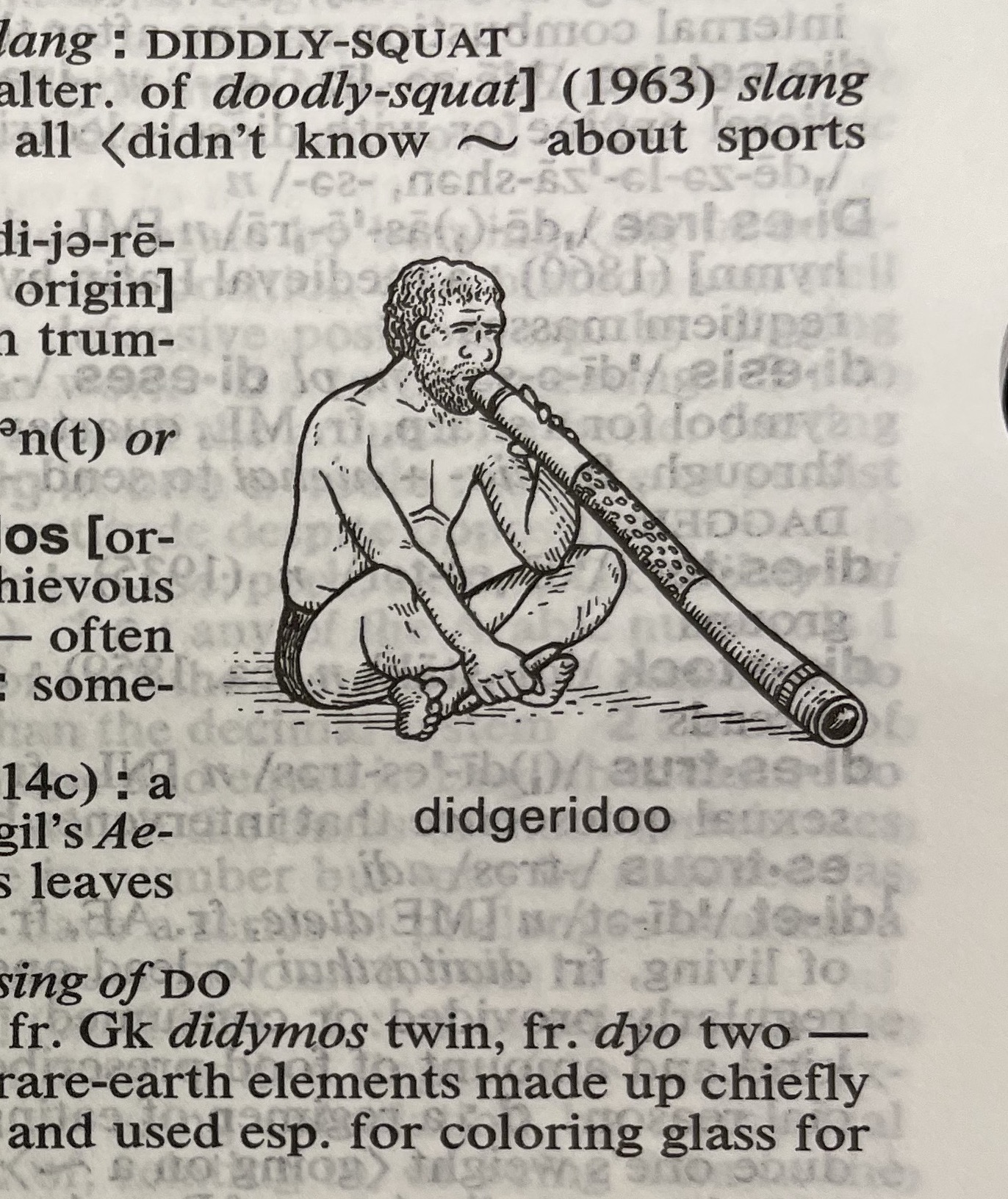 Dictionary illustration