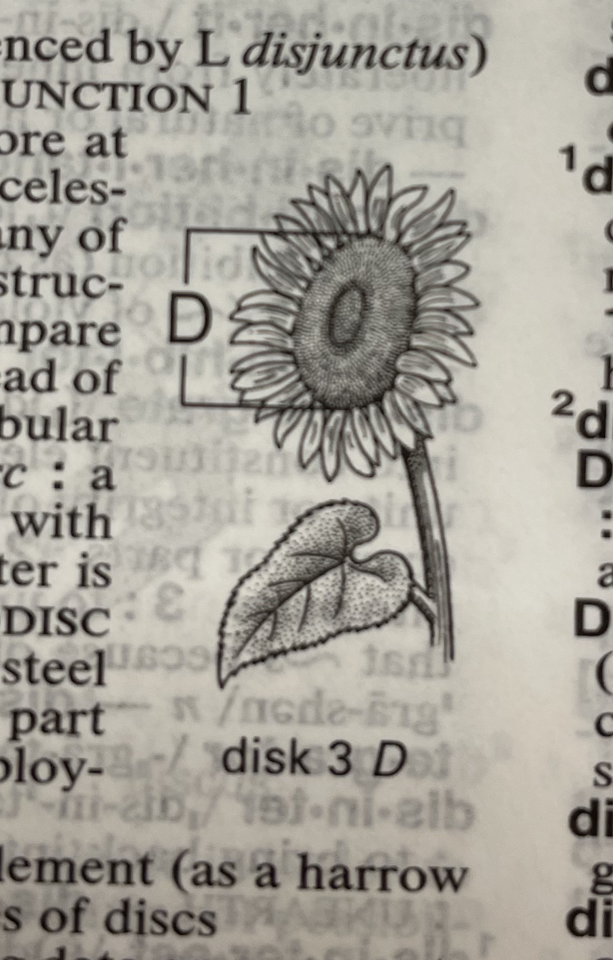 Dictionary illustration