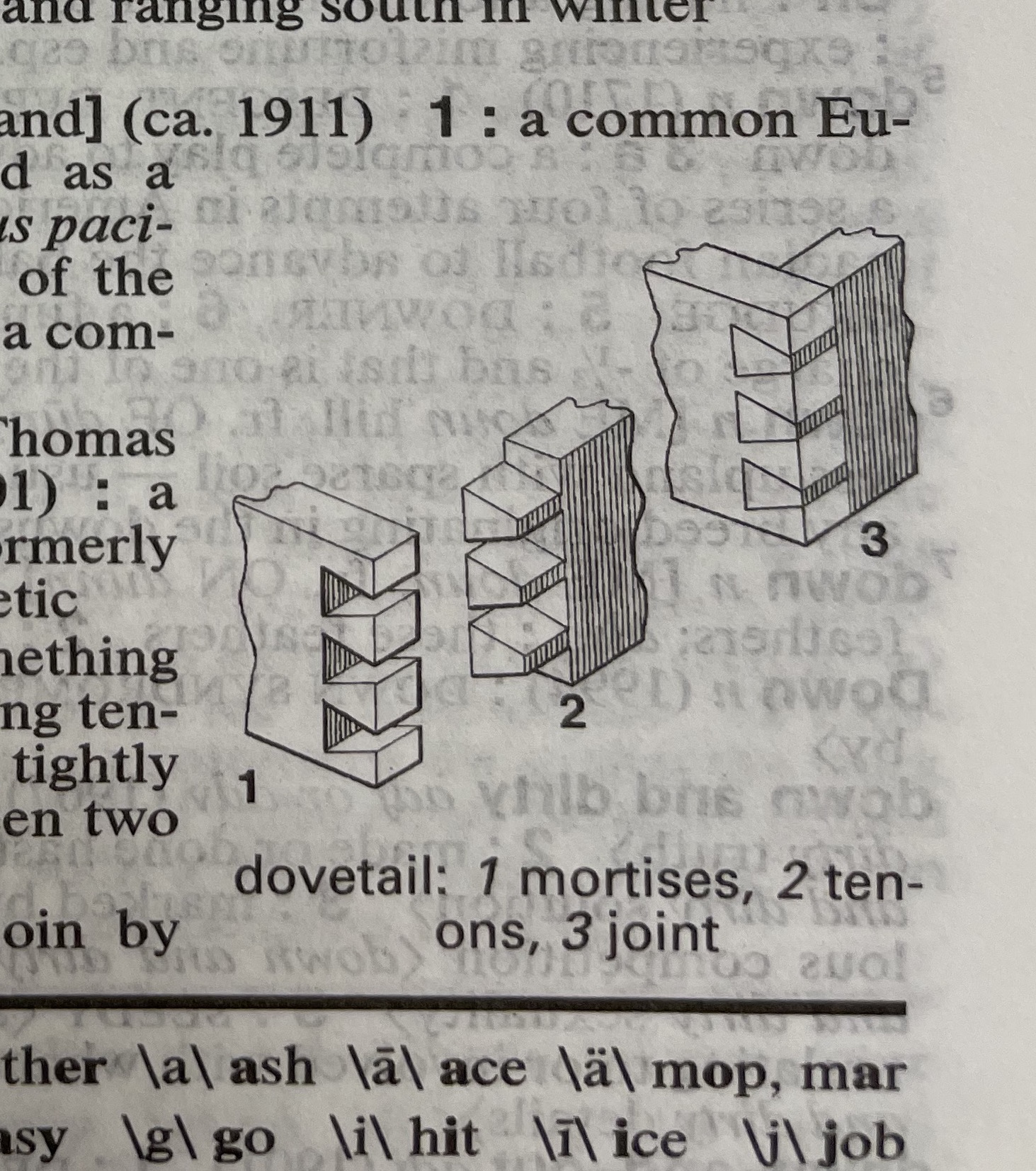Dictionary illustration