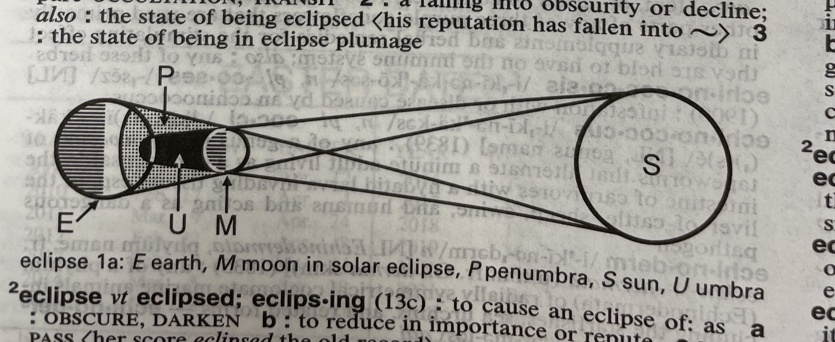 Dictionary illustration