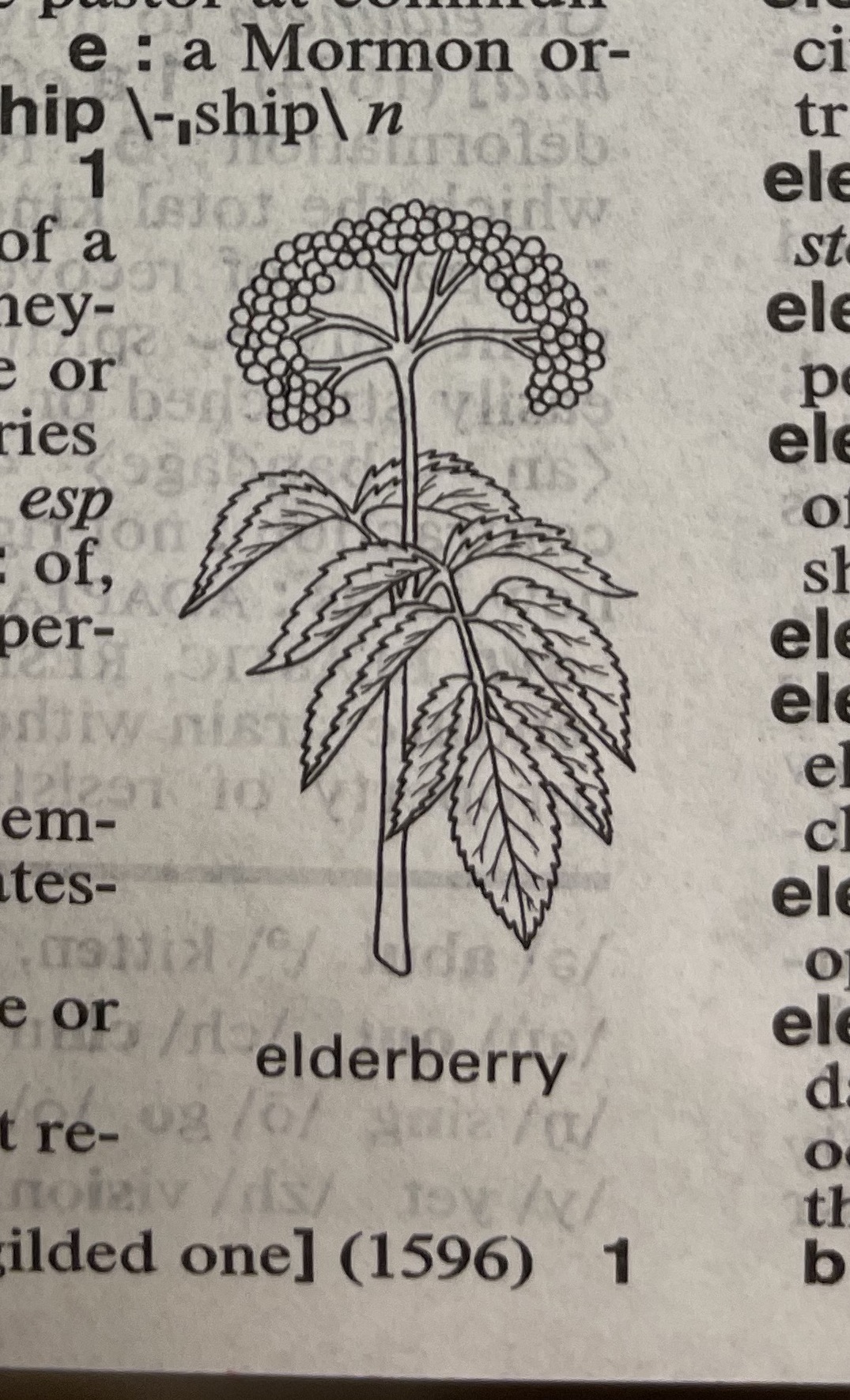 Dictionary illustration