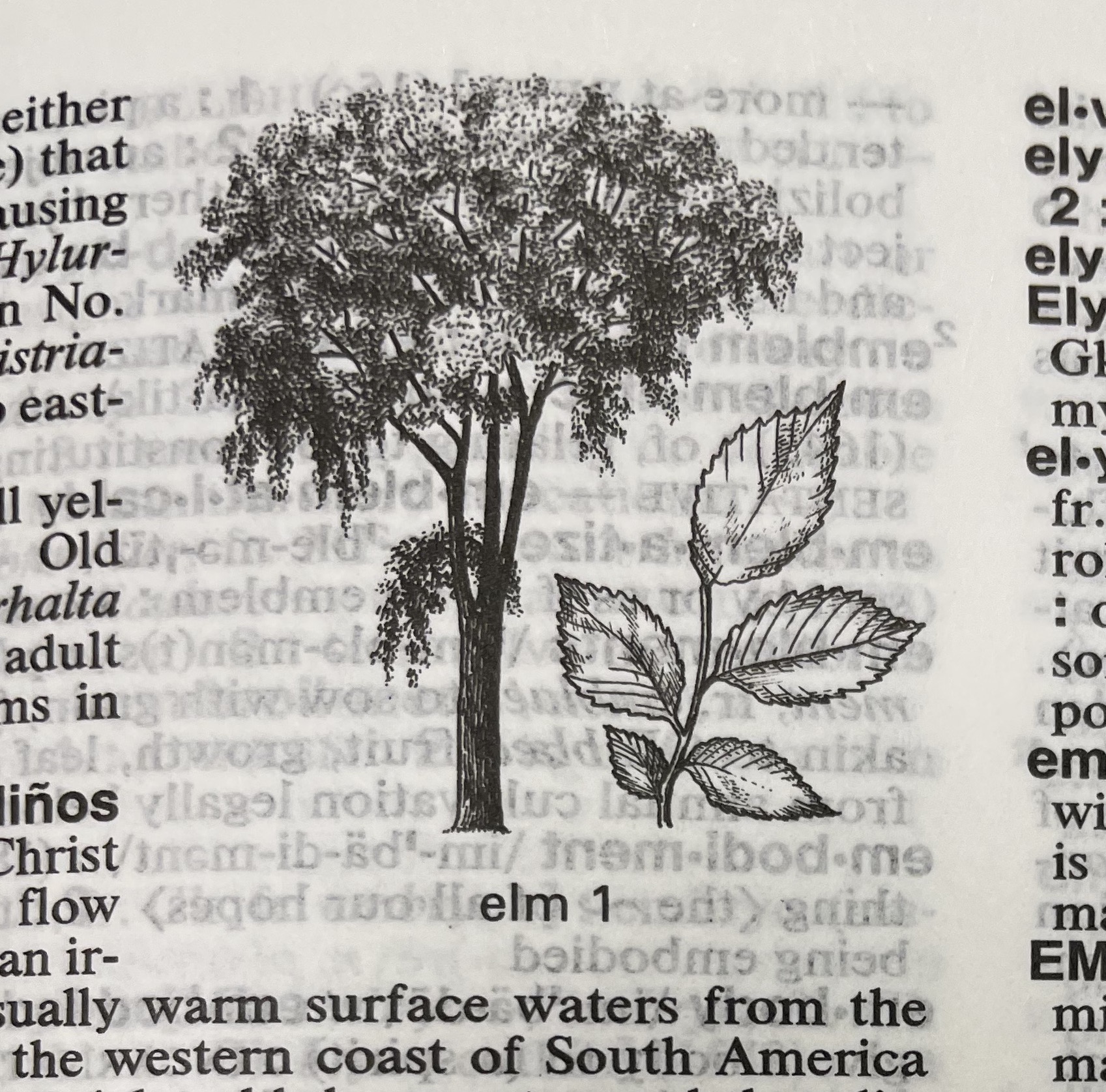 Dictionary illustration