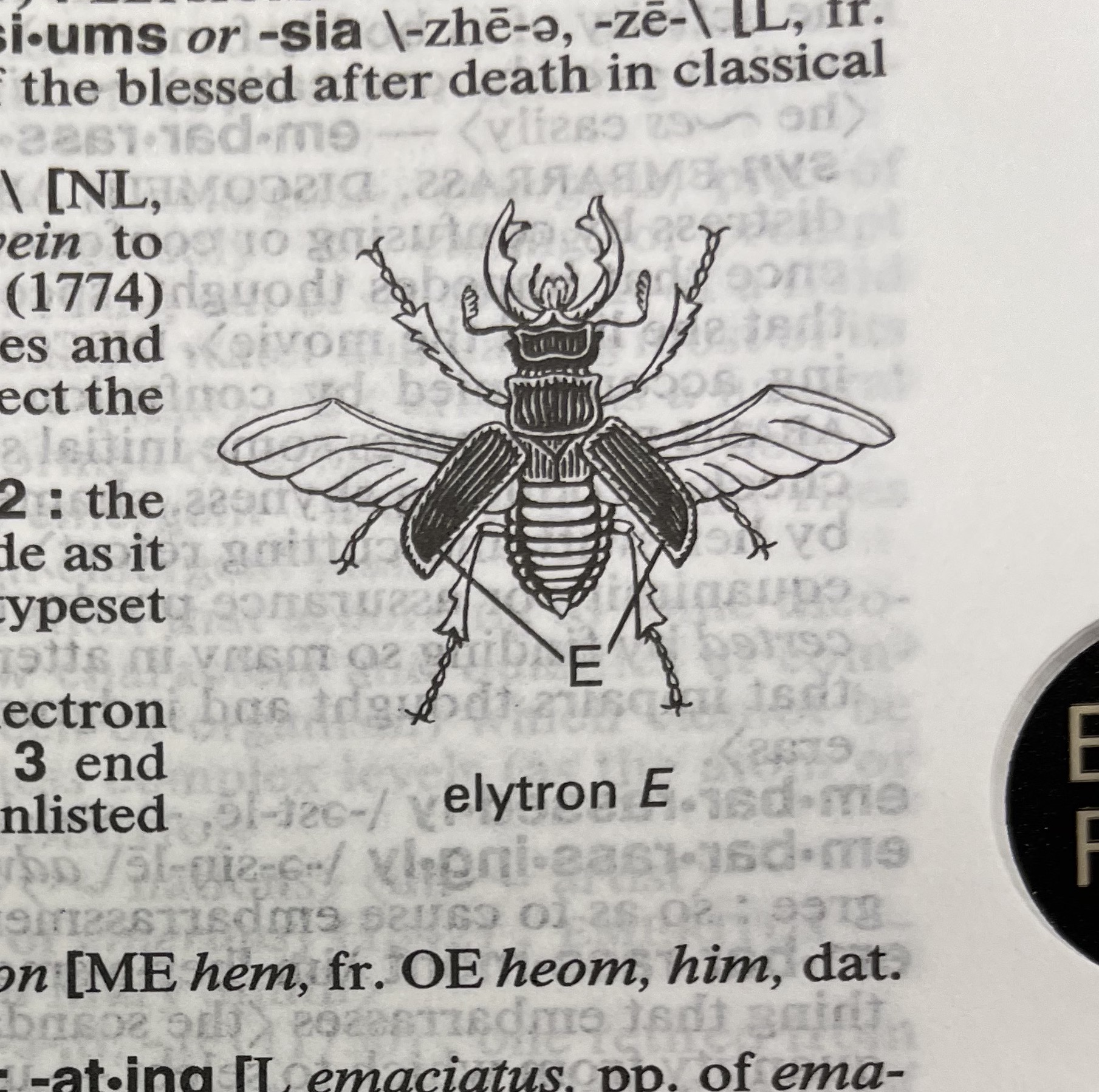 Dictionary illustration