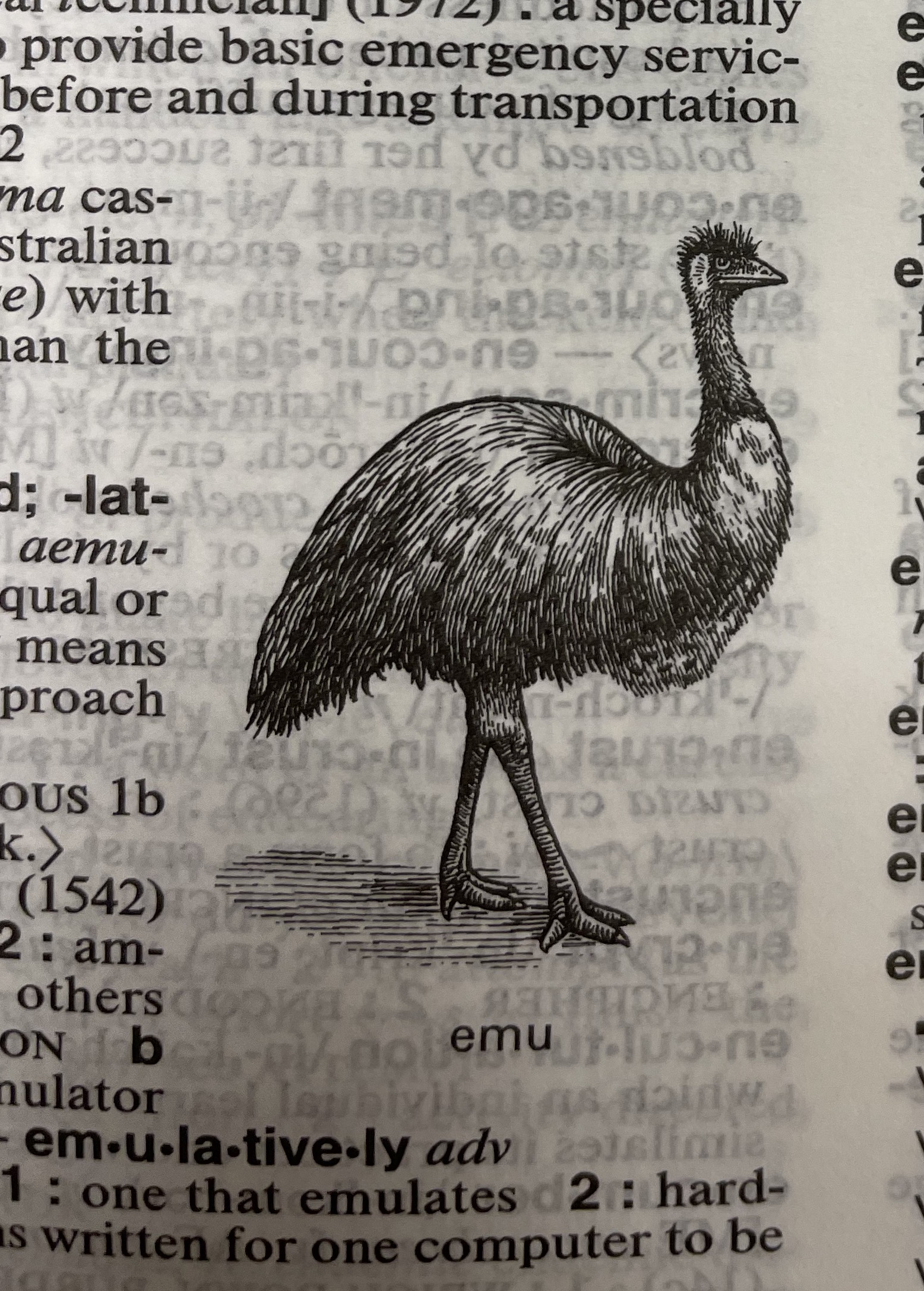 Dictionary illustration