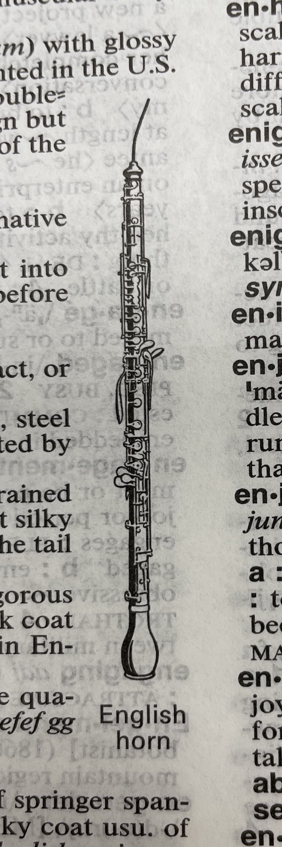 Dictionary illustration