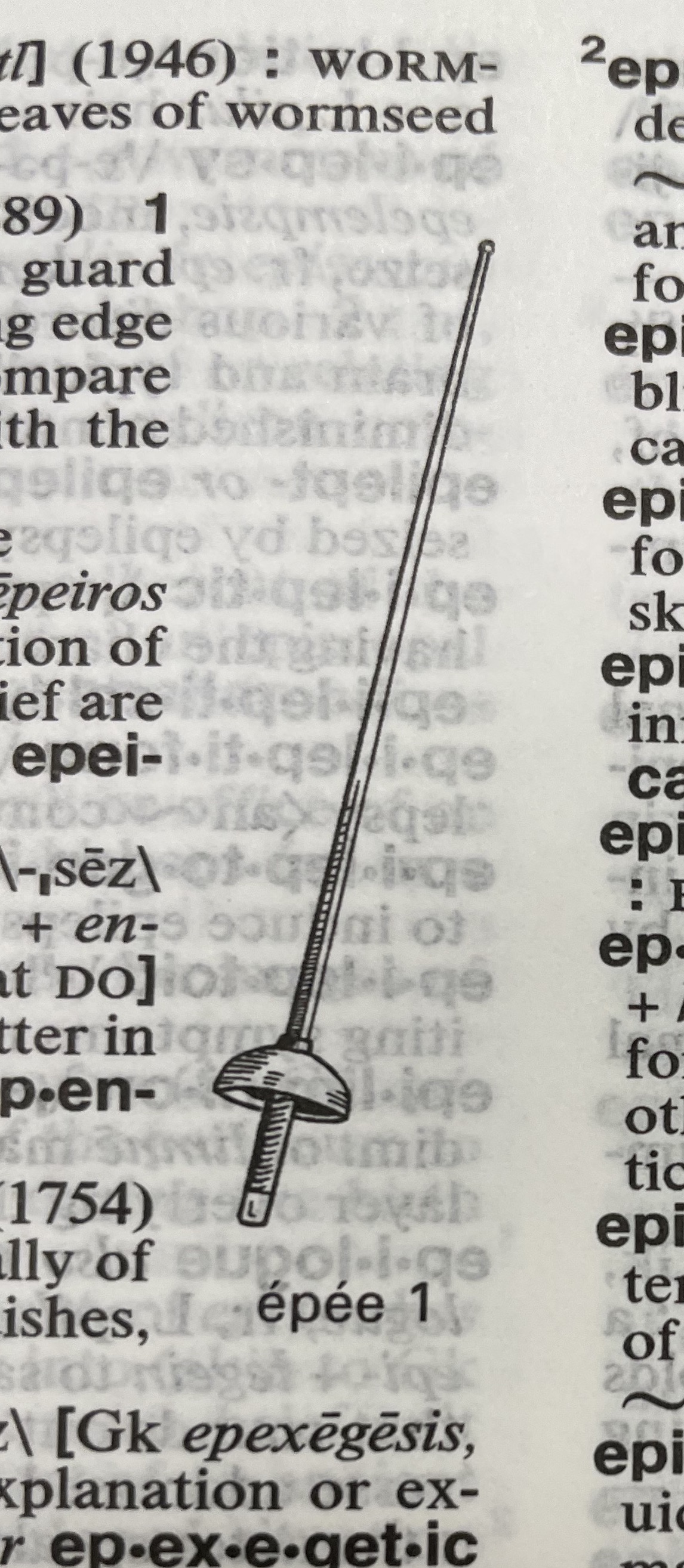 Dictionary illustration