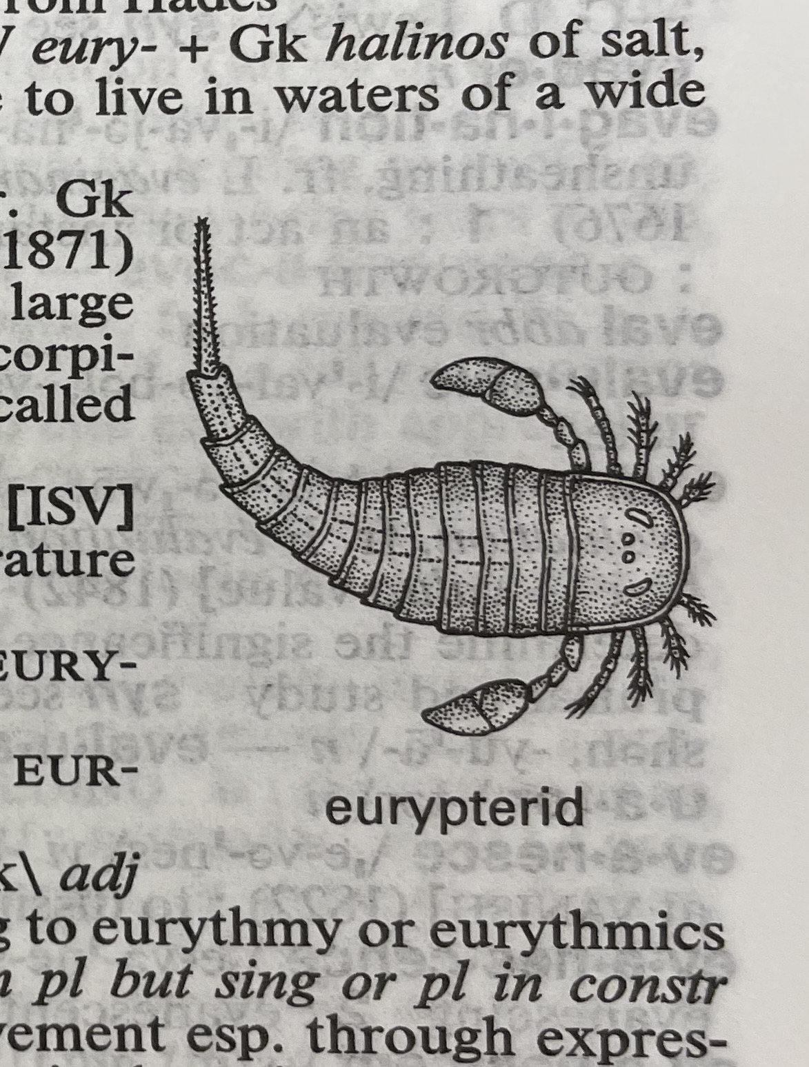 Dictionary illustration