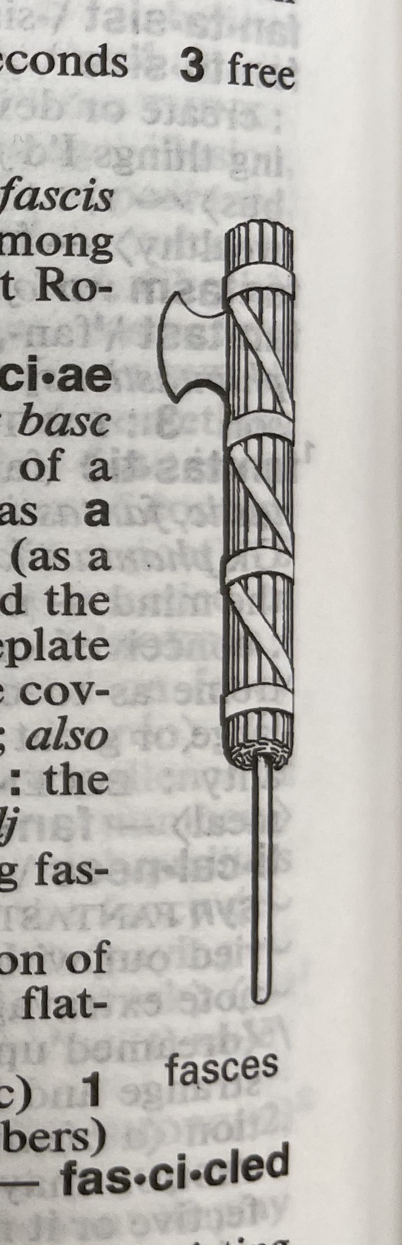 Dictionary illustration