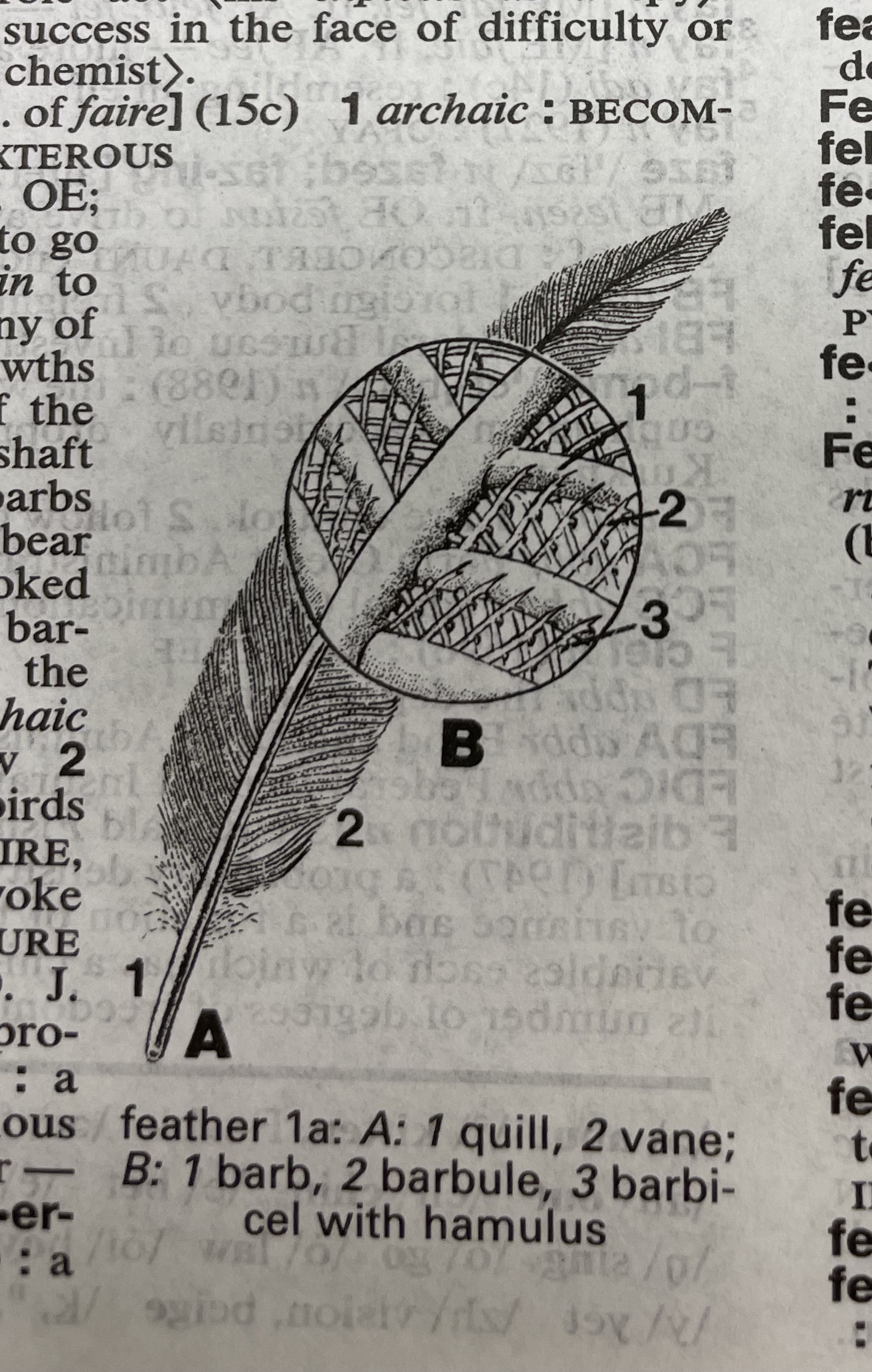 Dictionary illustration