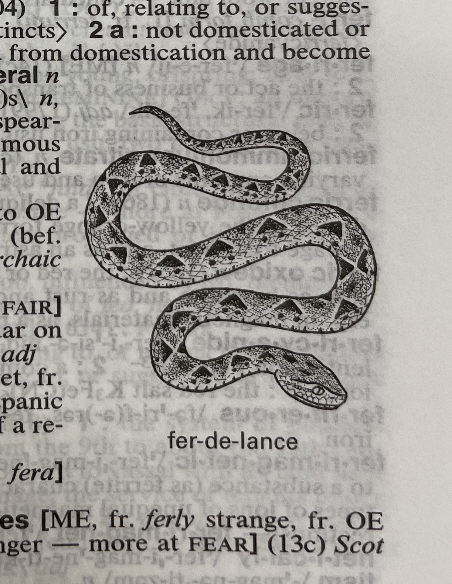 Dictionary illustration