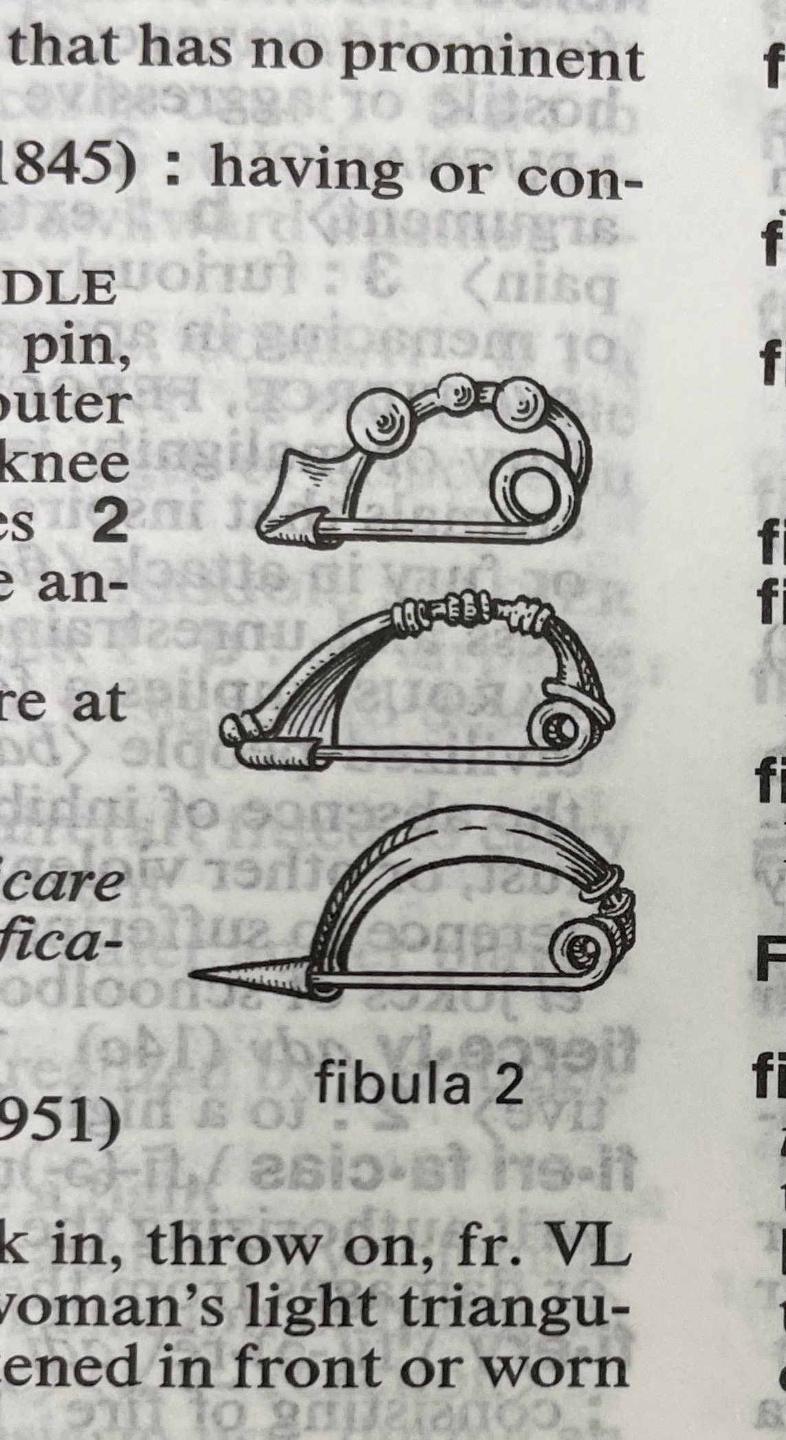 Dictionary illustration