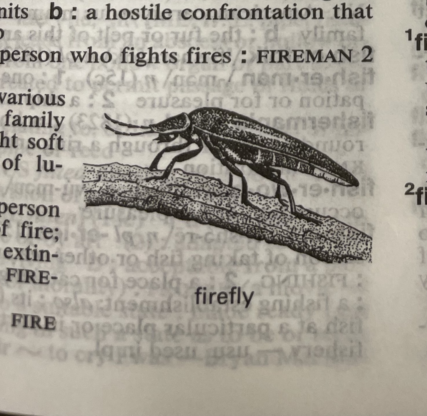 Dictionary illustration