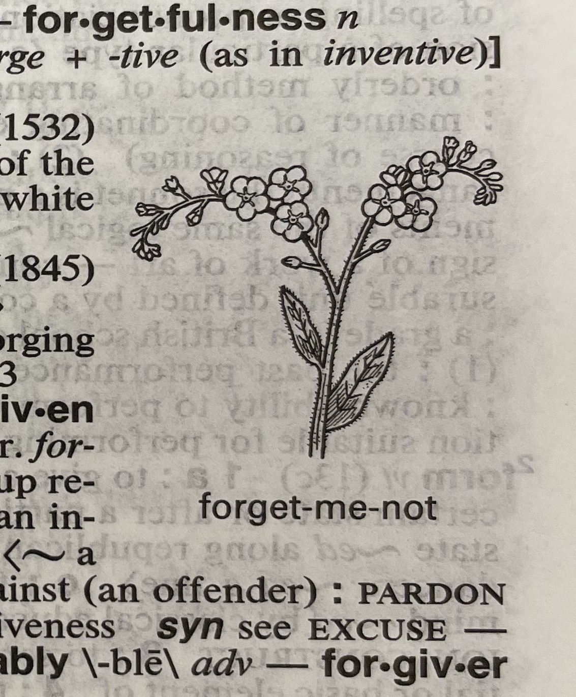 Dictionary illustration