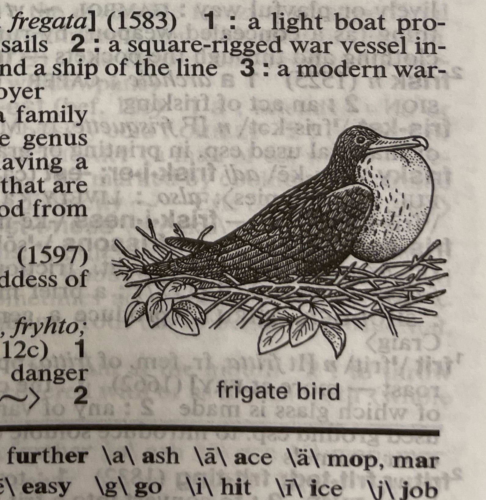 Dictionary illustration