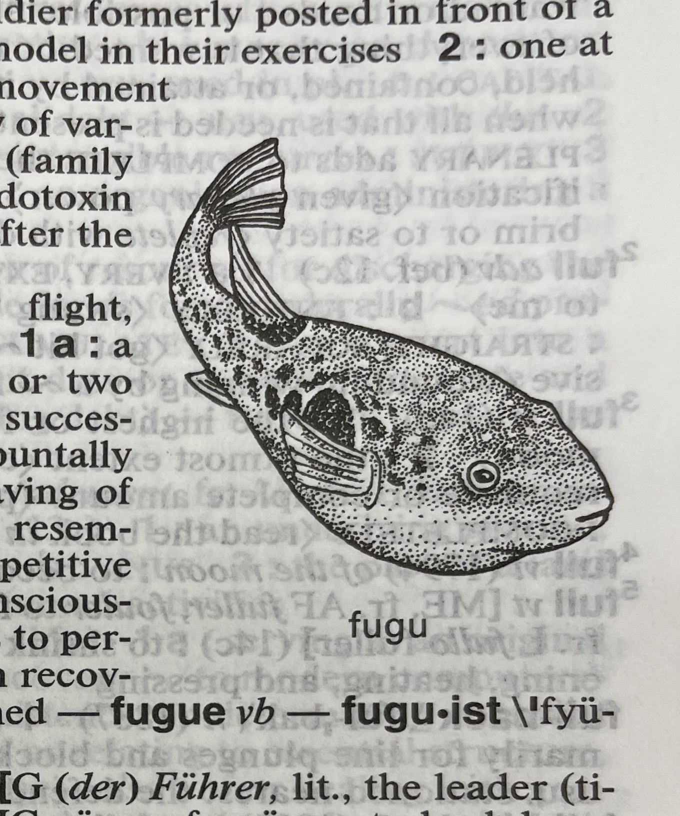 Dictionary illustration