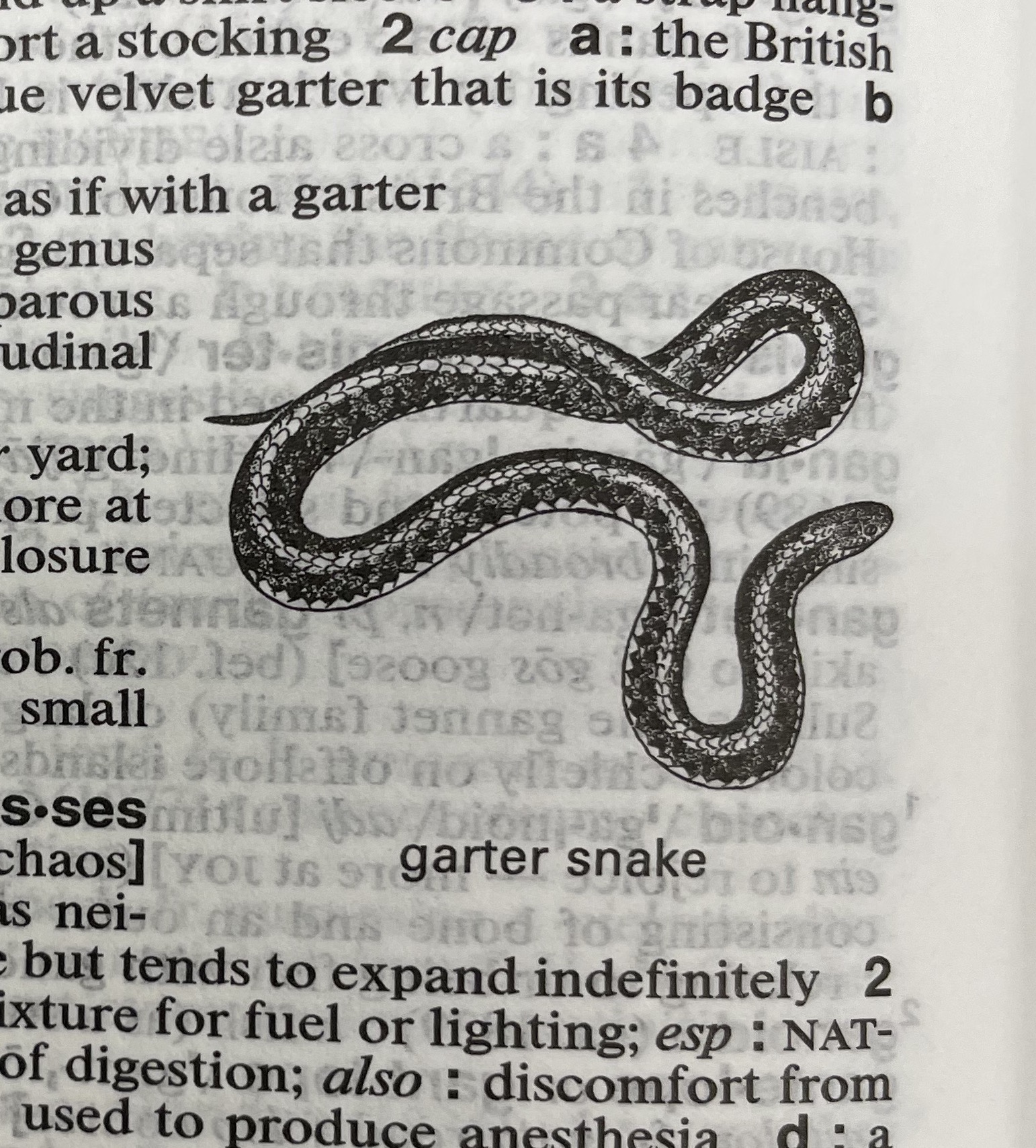 Dictionary illustration