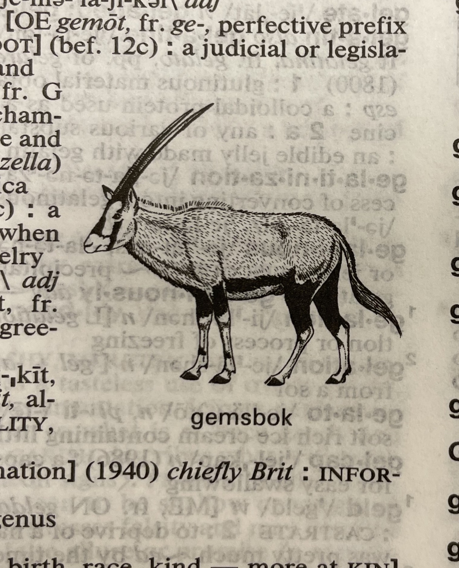Dictionary illustration