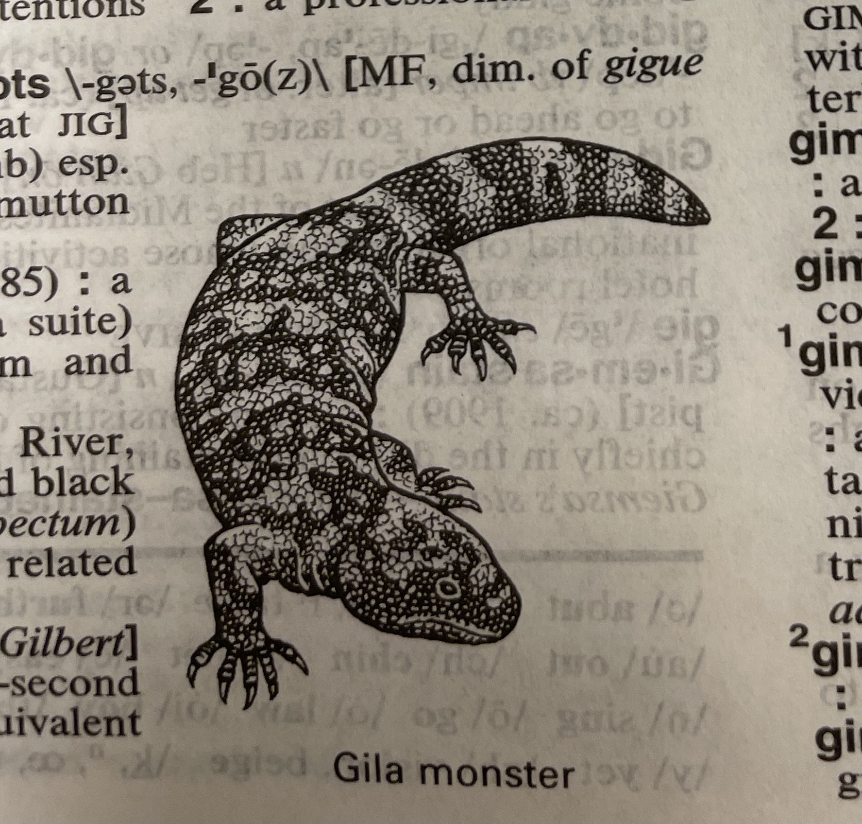 Dictionary illustration