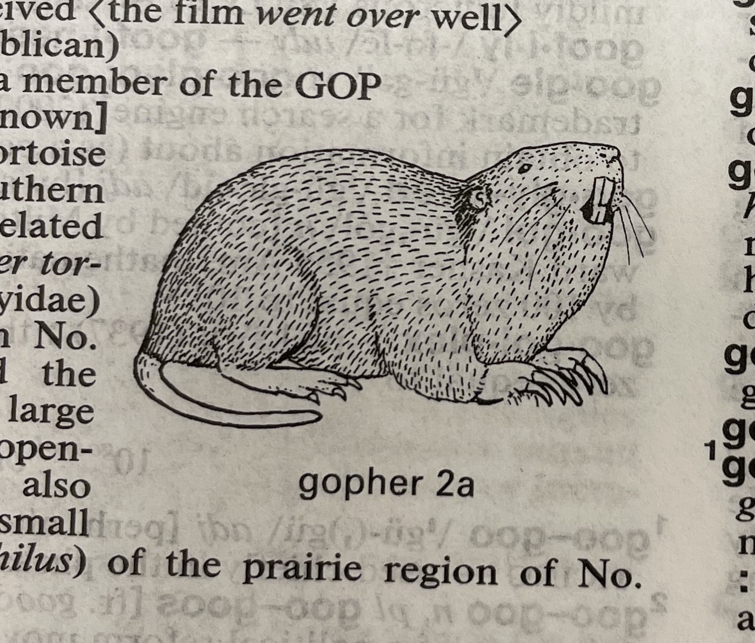Dictionary illustration