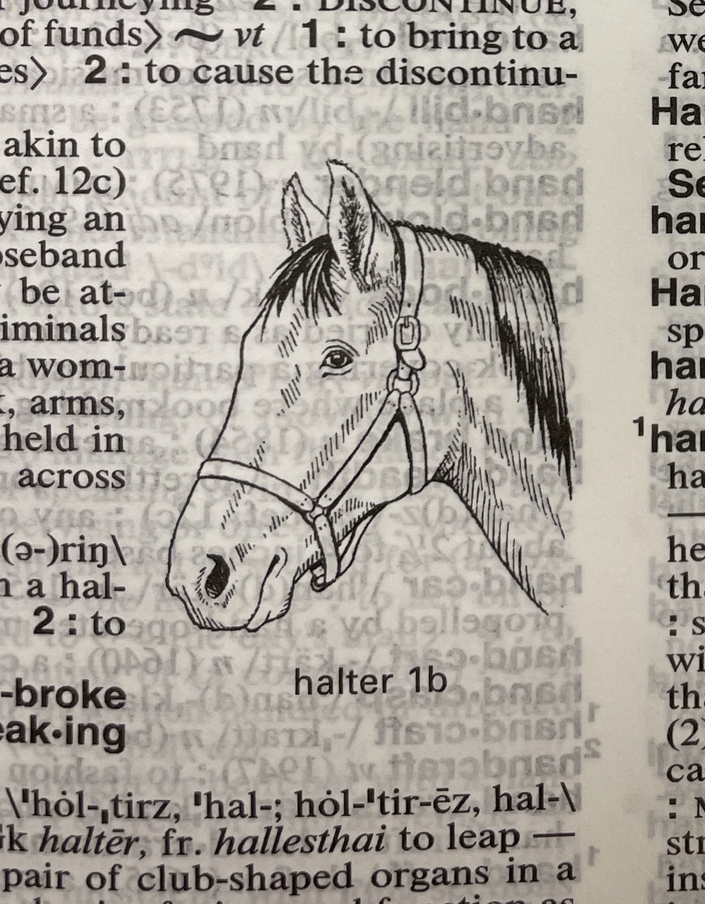 Dictionary illustration