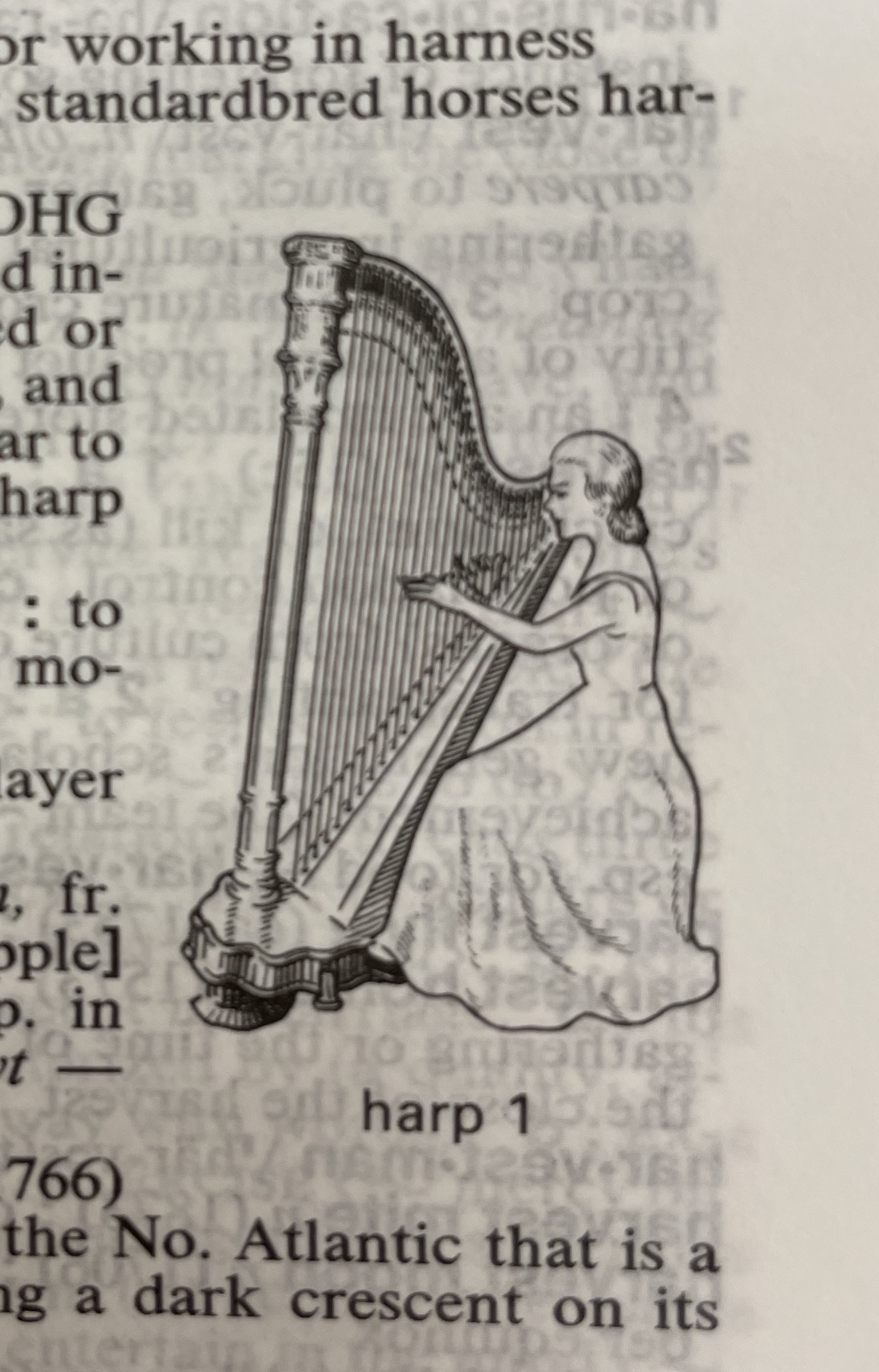 Dictionary illustration