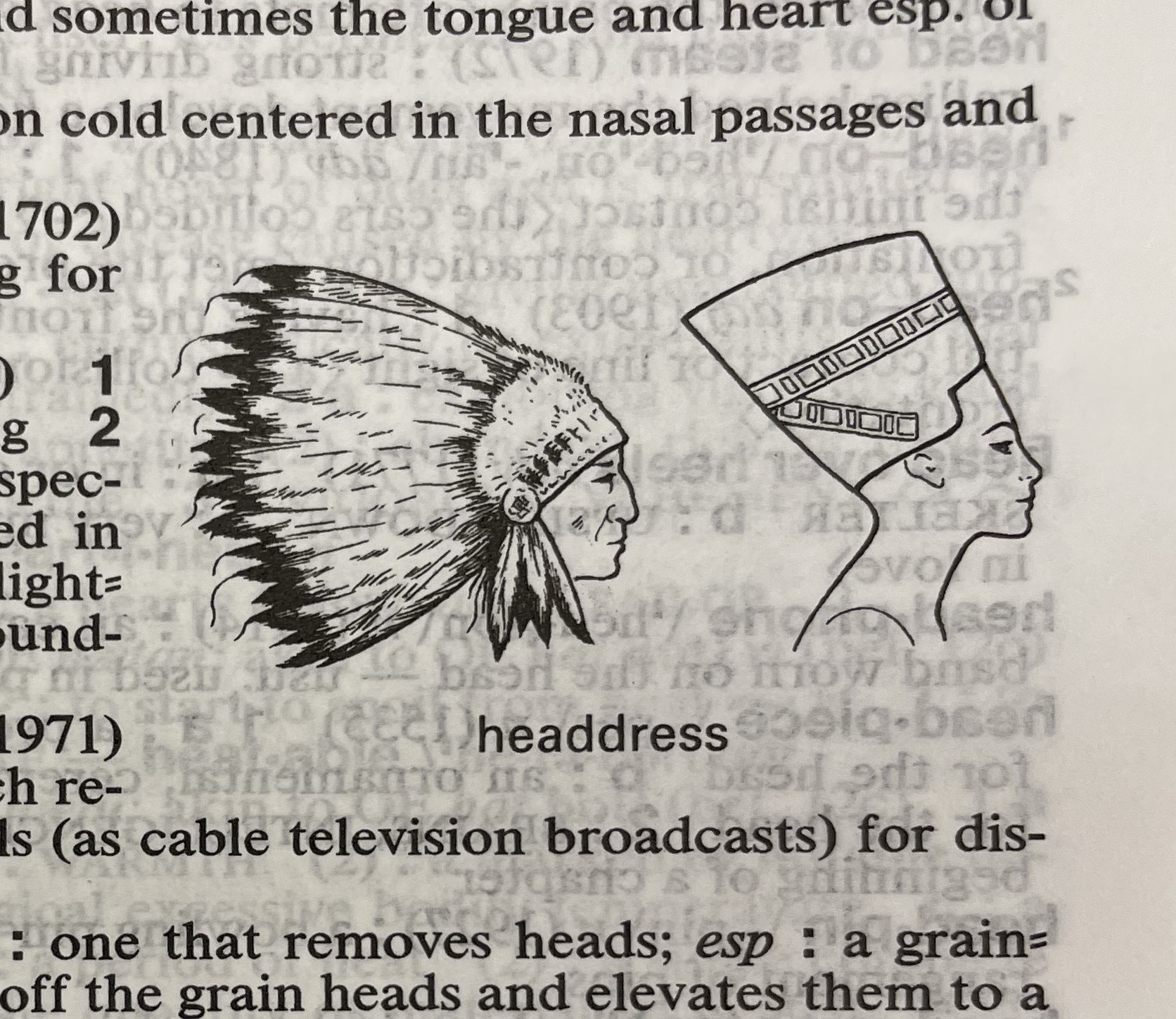 Dictionary illustration