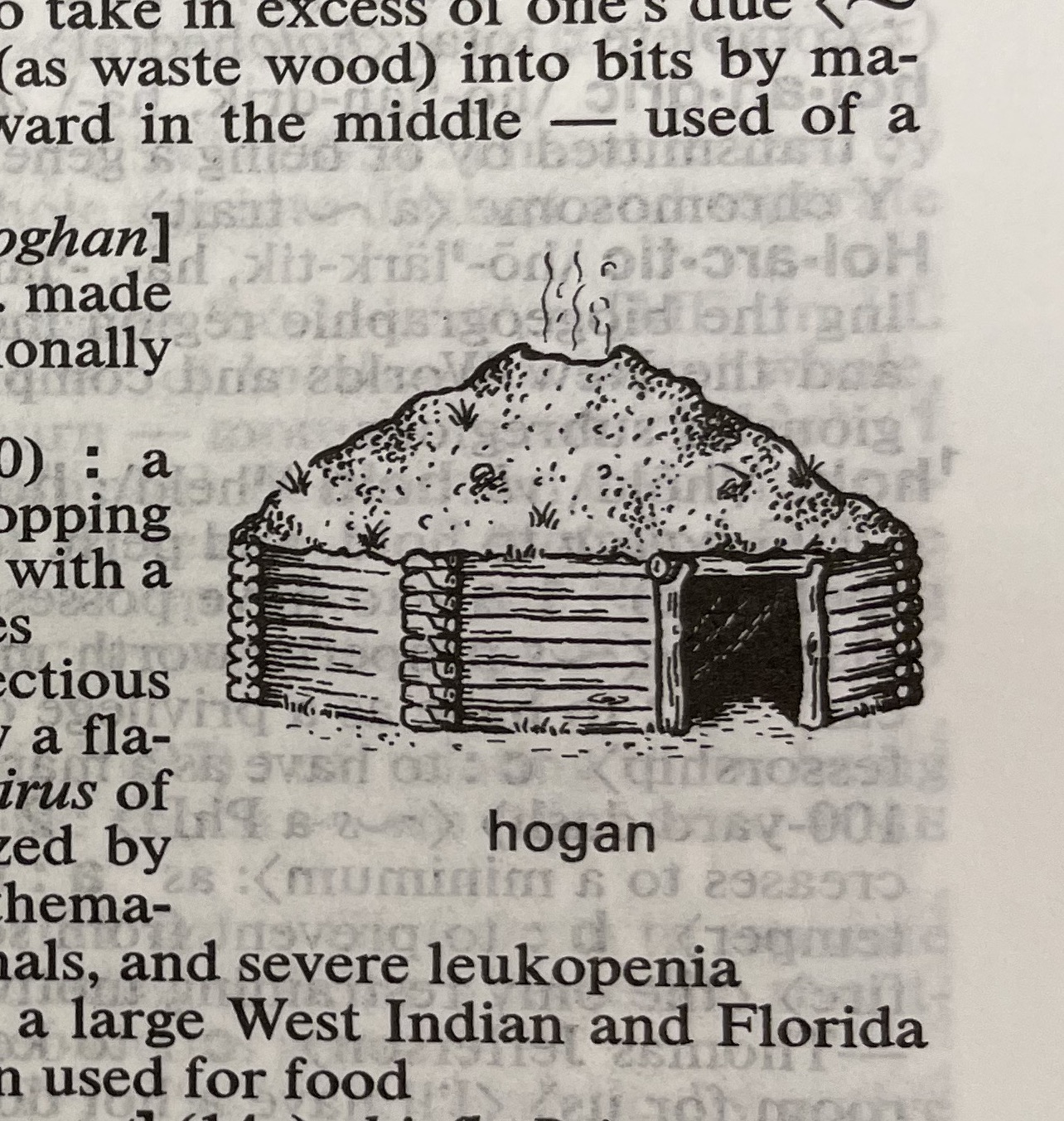 Dictionary illustration