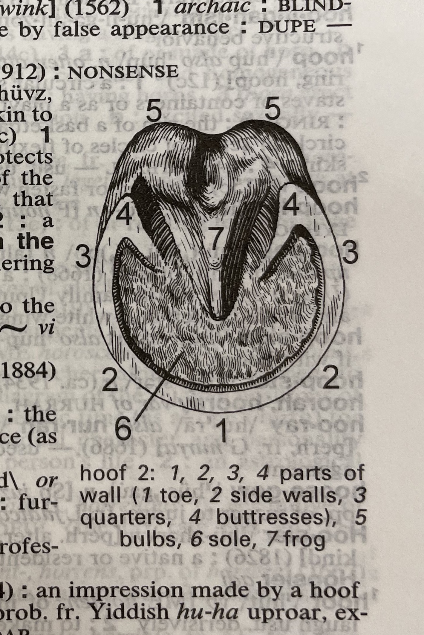 Dictionary illustration