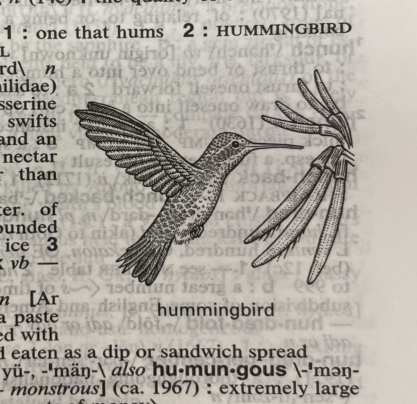 Dictionary illustration