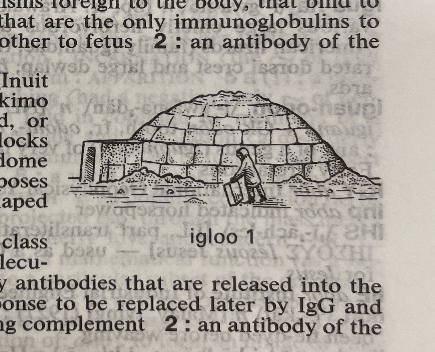 Dictionary illustration