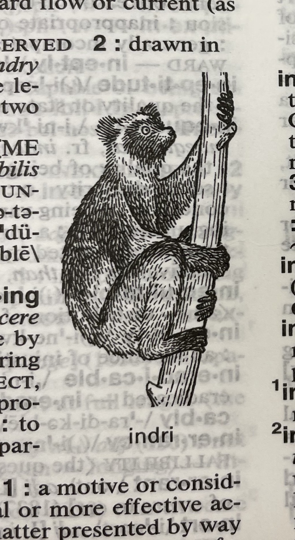 Dictionary illustration