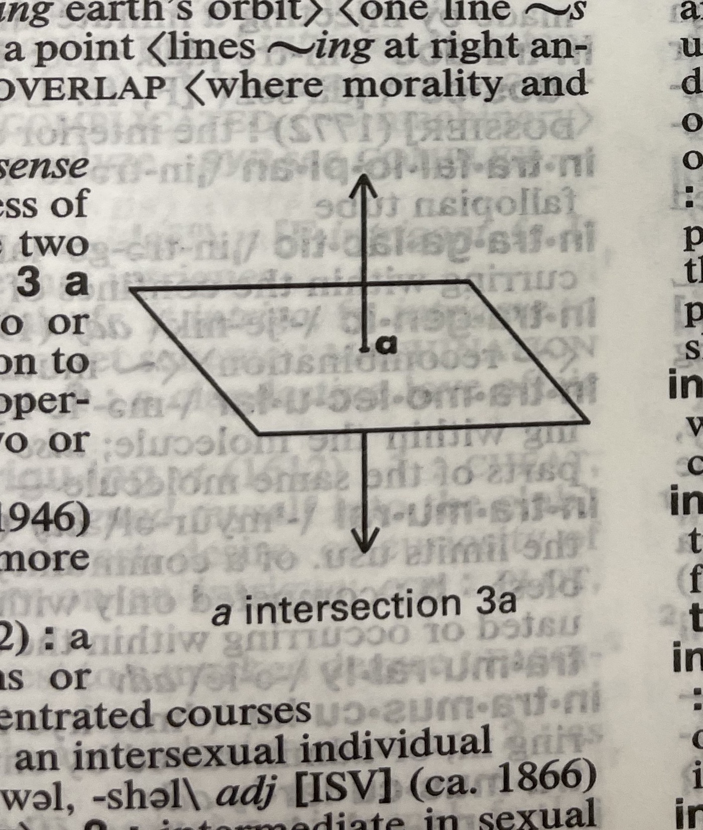 Dictionary illustration