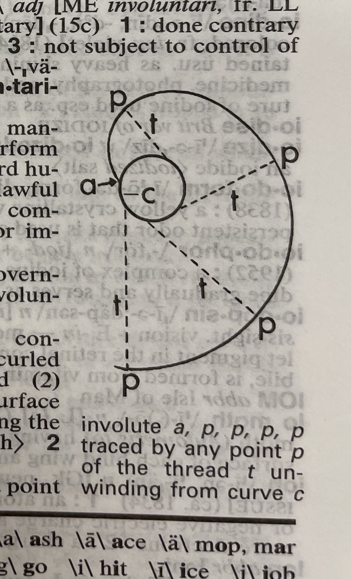 Dictionary illustration