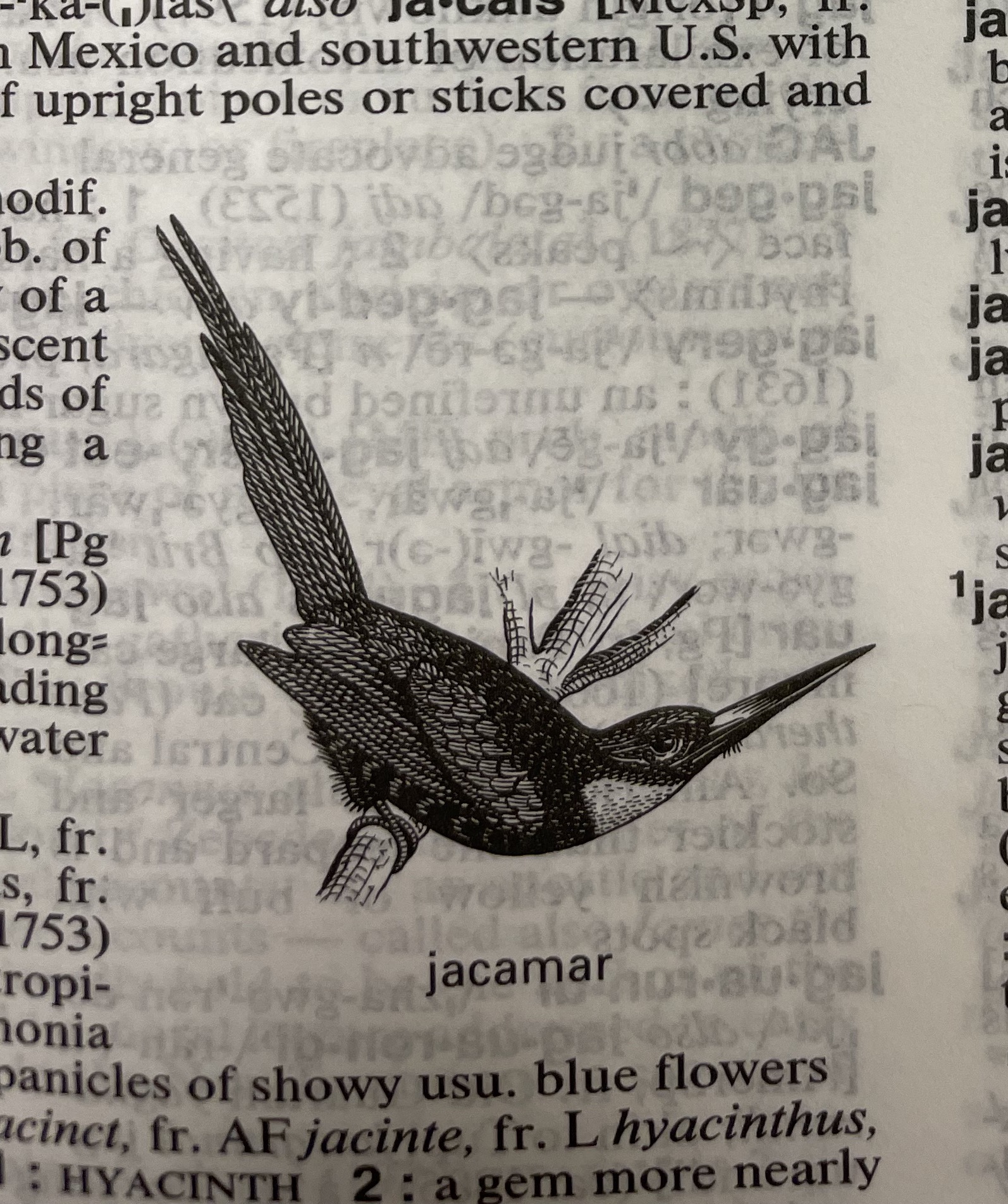 Dictionary illustration