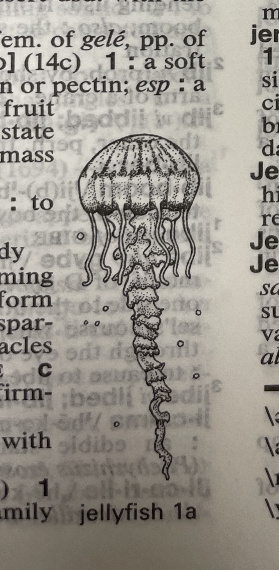 Dictionary illustration