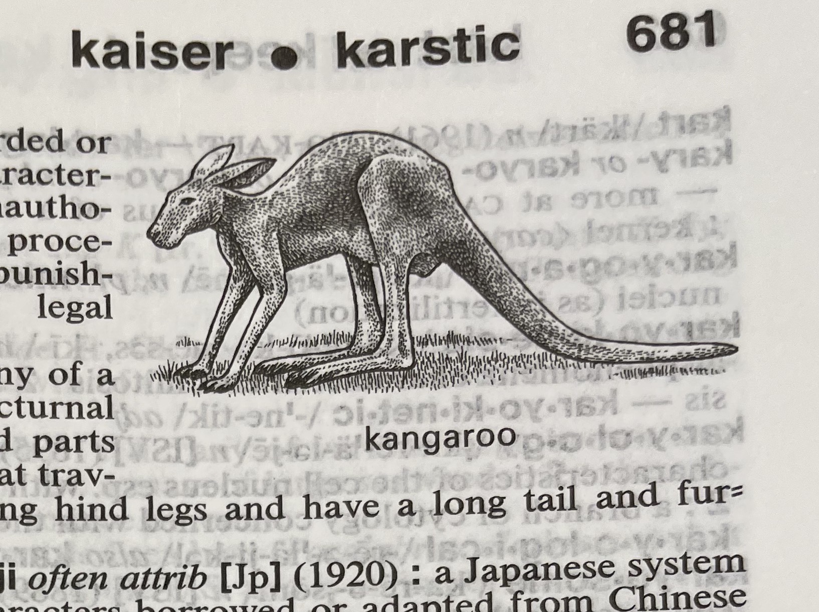 Dictionary illustration