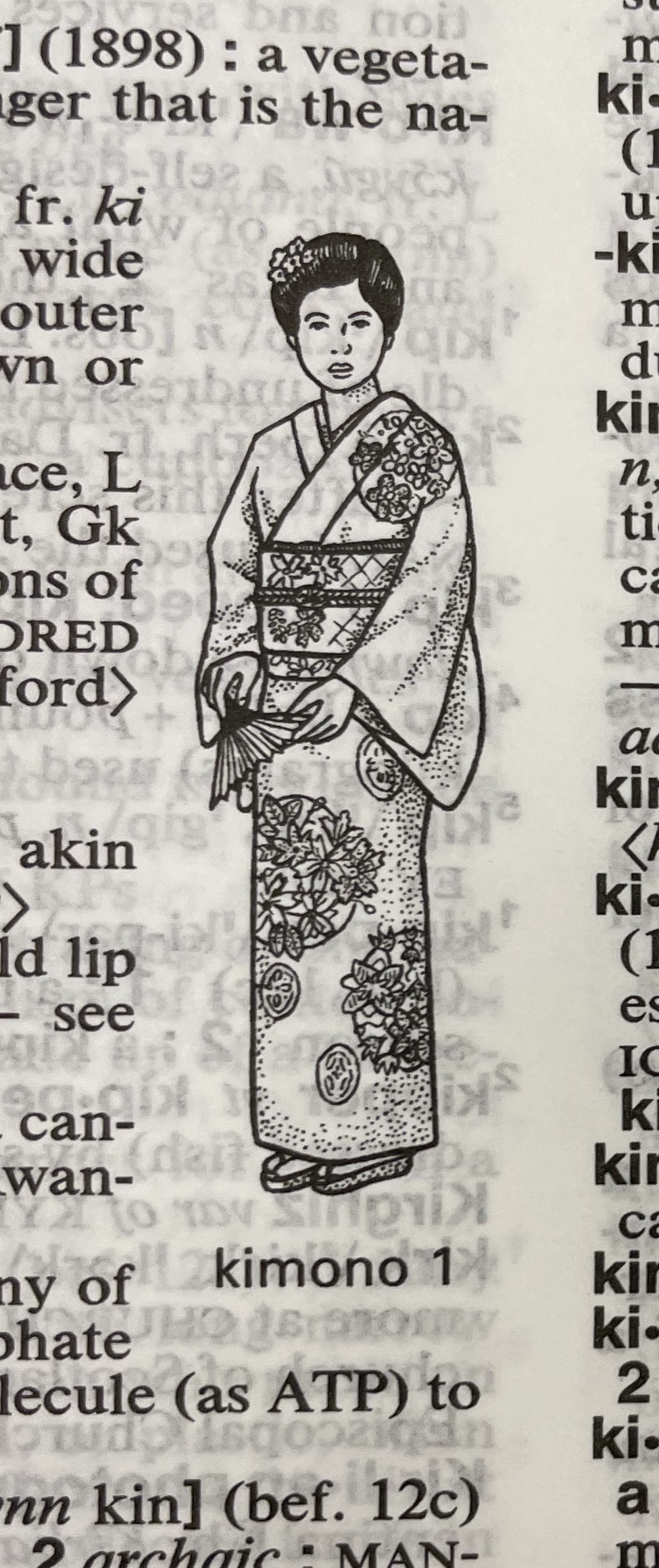 Dictionary illustration