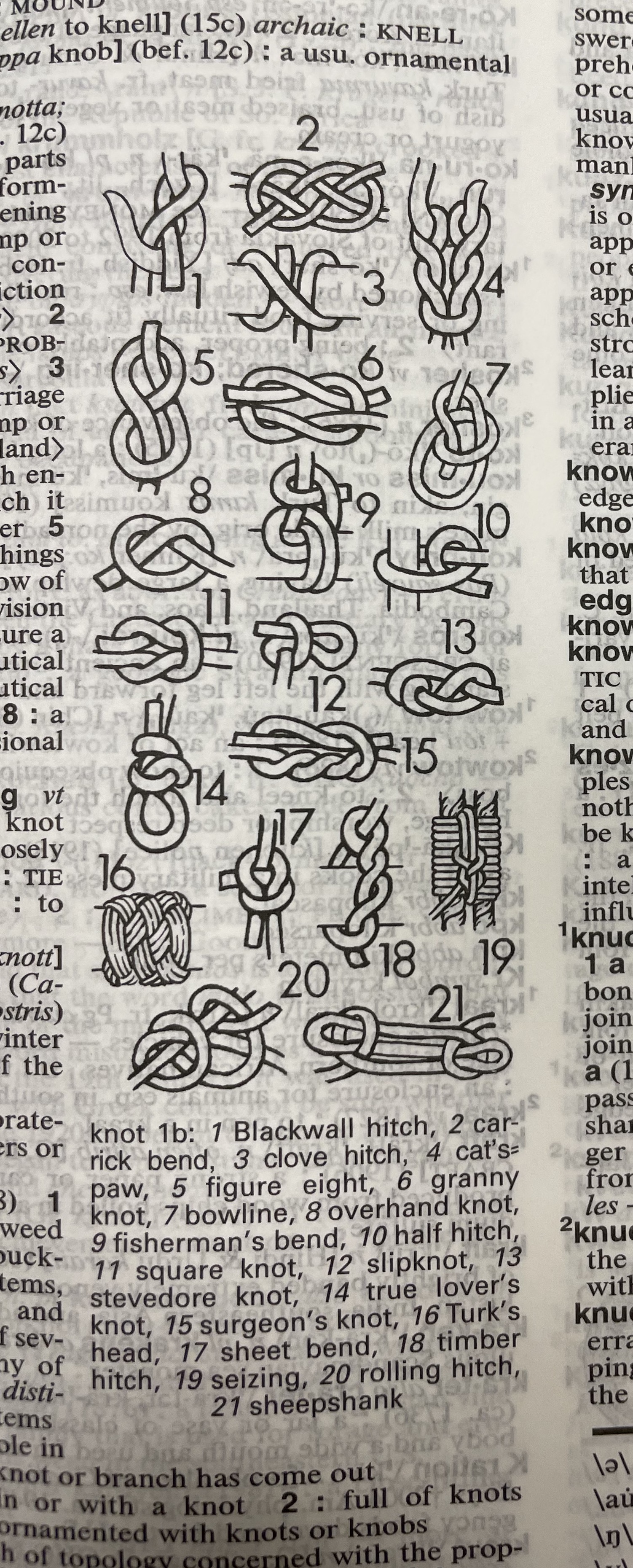 Dictionary illustration