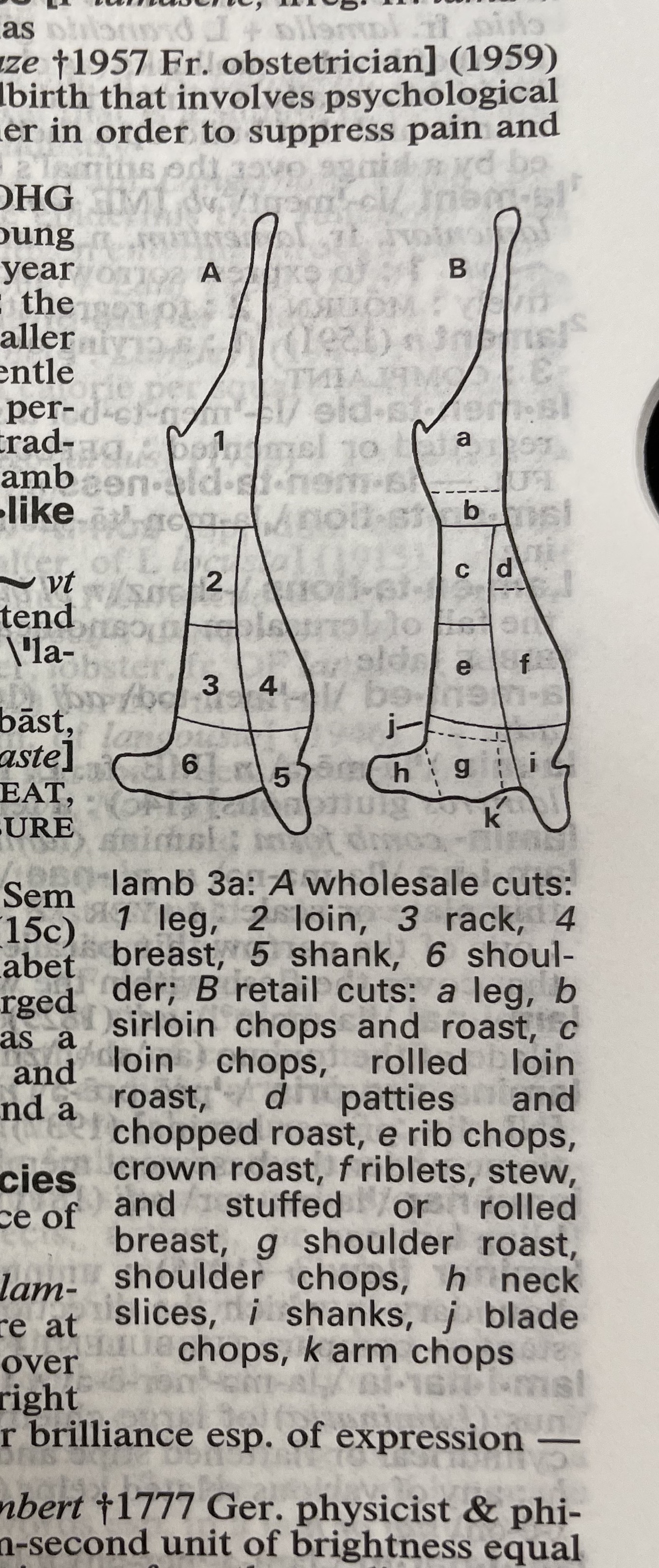 Dictionary illustration