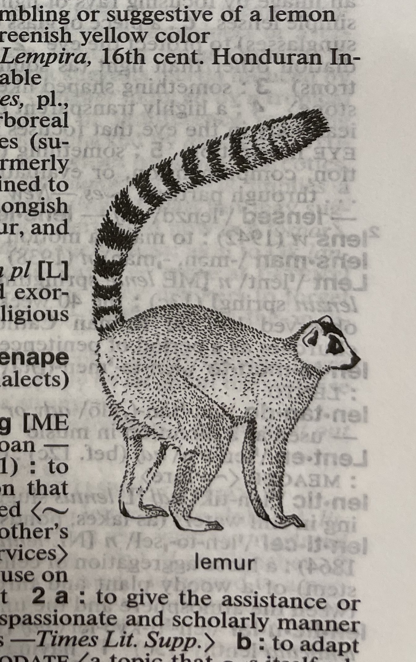 Dictionary illustration