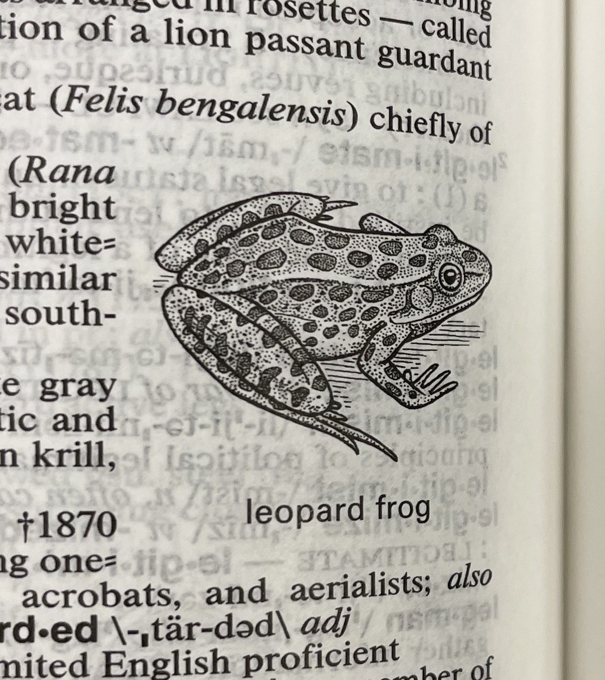 Dictionary illustration