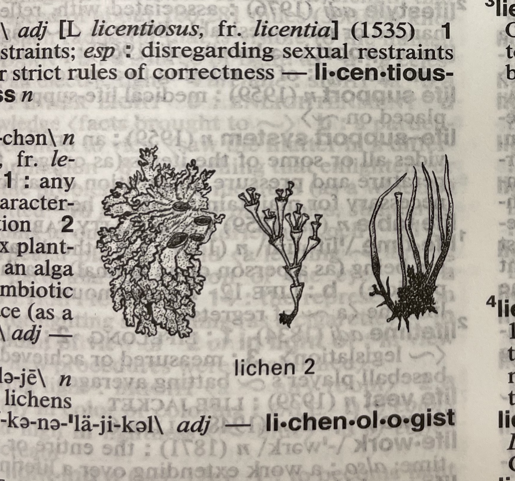 Dictionary illustration